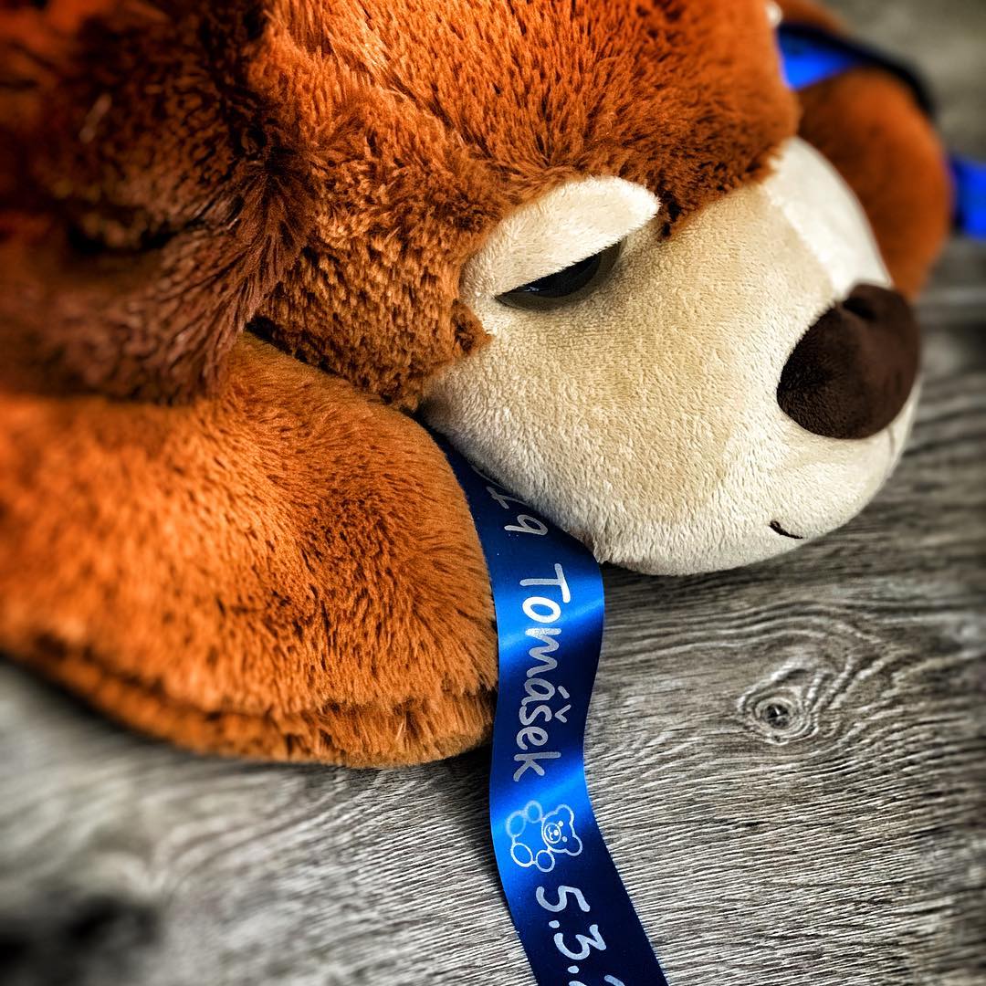 Až budete příště darovat malého plyšáčka nebo velkého plyšáka 🧸, nechejte si na něj vytisknout saténovou stuhu s vlastním osobním věnováním. 🎗 Dárek tak dostane zcela jiný rozměr. 🛍 Buďte originální, žádejte službu *Řekni to stuhou* ve své oblíbené prodejně 🎁 #reknitostuhou #darek #plysak #hracka #hrackarstvi #hamleys #potisk #stuha #gift #dog #prodeti #originalnidarek #daruj #hracky