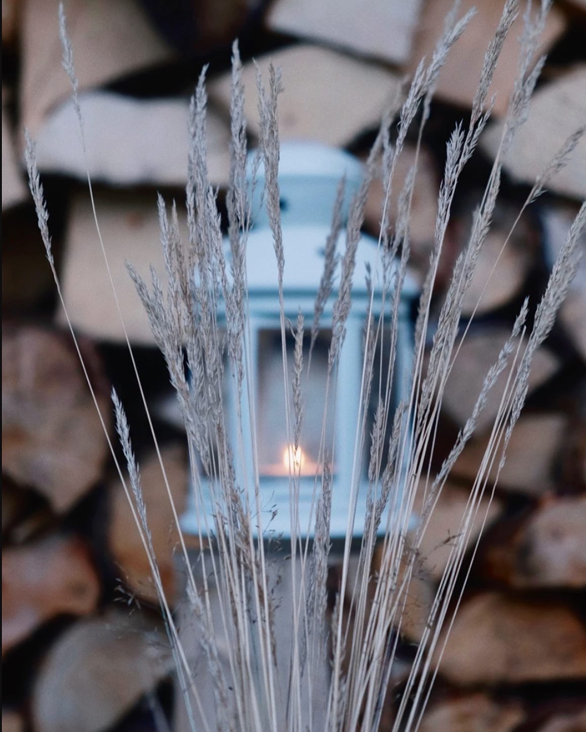 🍂 Cosy Autumn vibes…
Because bringing a product to life for e-commerce isn’t all about lighting, clarity, and getting the right angles.
It’s about crafting a story that connects with your audience, and creates depth.
🔥 It’s about showing your product in its most immersive light.
And sure, increased sales and a more definitive brand identity can’t hurt either… especially when get to see your creative vision brought to life.
🌳 Our branding packages launch later this month. Enhance your content and get in touch with us today!
#foweycornwall #foweymarketing #foweybranding #foweycontent #autumnvibes #autumncolors #fallvibes #fallinspiration #fallseason #cornwallcreatives #cornwallcreative #cornwallcreators #cedarcoveuk