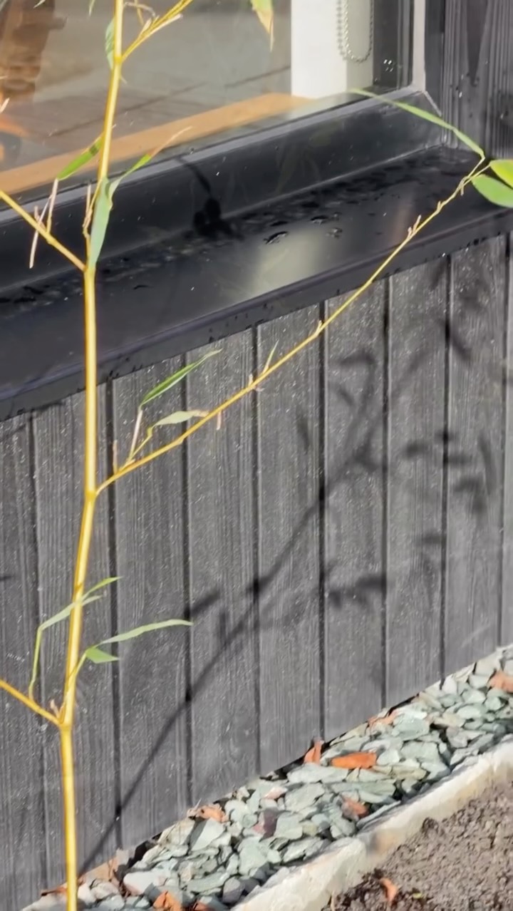 Quiet mornings with the sun trickling in.
Light dappling through the picture window, shadows playing against the blinds. The integrated blind detail, soft-close kitchen door, it’s the small, thoughtful touches that make everyday life that bit nicer ✨
#CardiffHomes #CardiffArchitecture #SouthWalesArchitects #LuxuryHomesWales #WalesHouseDesign