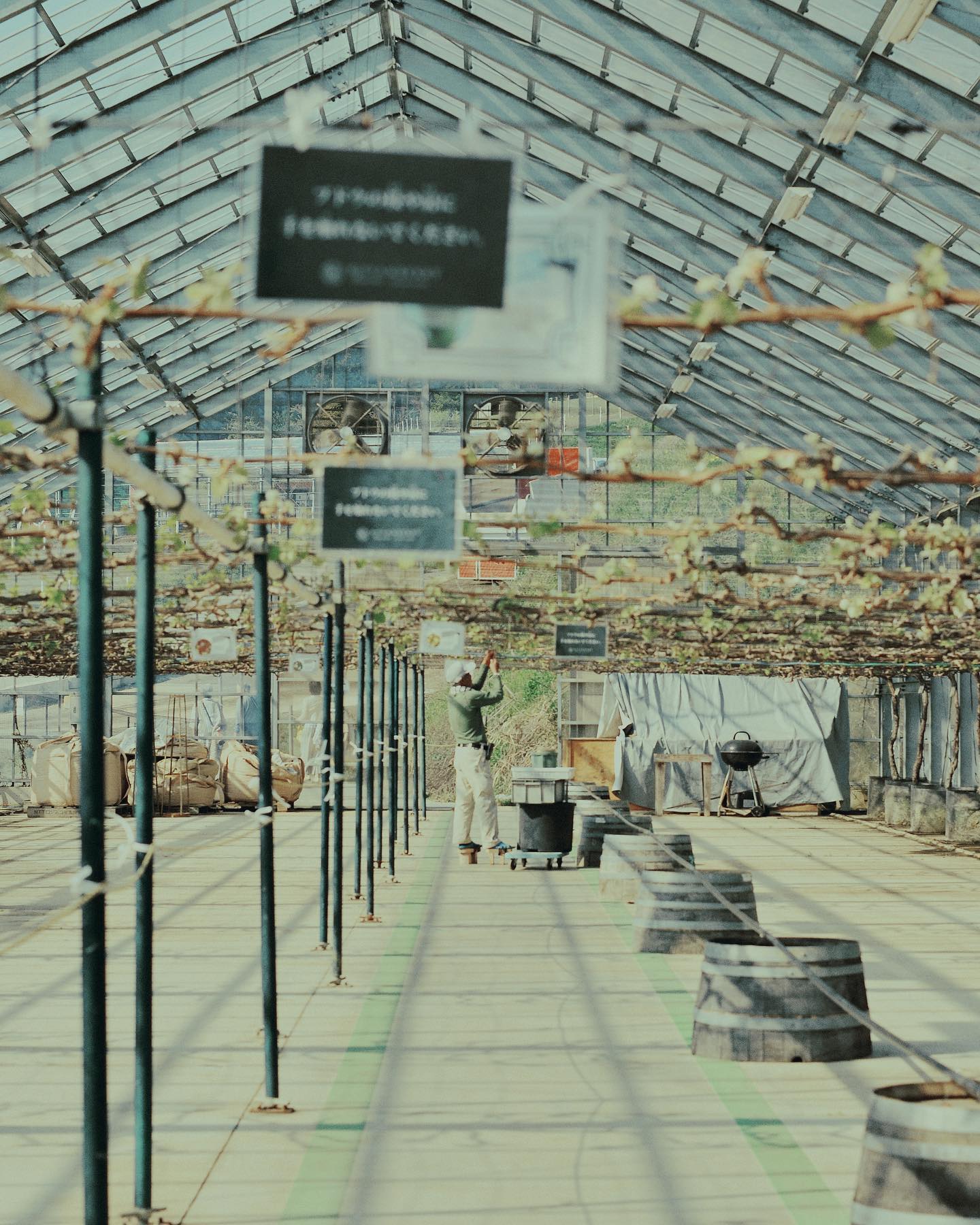 働く人シリーズ
#farmer