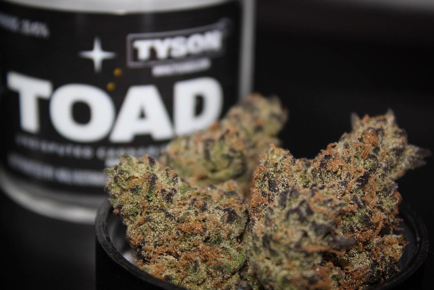 Let’s talk TOAD 🐸 if you’re familiar with @miketyson and the @hotboxinpodcast then you’ve definitely heard about the infamous magic TOAD… this strain in particular was named after “The Toad,” & I think this name really fit the experience!
If you’re not familiar, basically these Cane Toads have a psychedelic venom that produces 5-MeO-DMT. They excrete this liquid from the glands of the toad, dry it into paste, and it’s then smoked. The trip is supposed to help with addiction/depression, allow an EGO death to occur, and can help with overall creativity. DMT is naturally produced in our brains and enables us to connect with what’s outside of what we simply see in 3D. We experience a rush of DMT when we are born into this world and when we die. Although I’ve not tried DMT yet 😉 I would highly recommend each person give it some thought and research at some point in their life.
To wrap this up, this bud was STONEY, instantly took me to a happy place, and completely brought out creativity in me all while tasting/smelling fucking amazing! Overall, this gets a 10/10 and I’m so thankful @vicctoriaallison @goldnbloom_sd recommended this for my 4/20 smoke 😎💚😶🌫️🌱🐸✨
#miketyson #tyson #toad #canetoad #flowers #psychadelic #egodeath #creative #420 #themarijuanamedium
