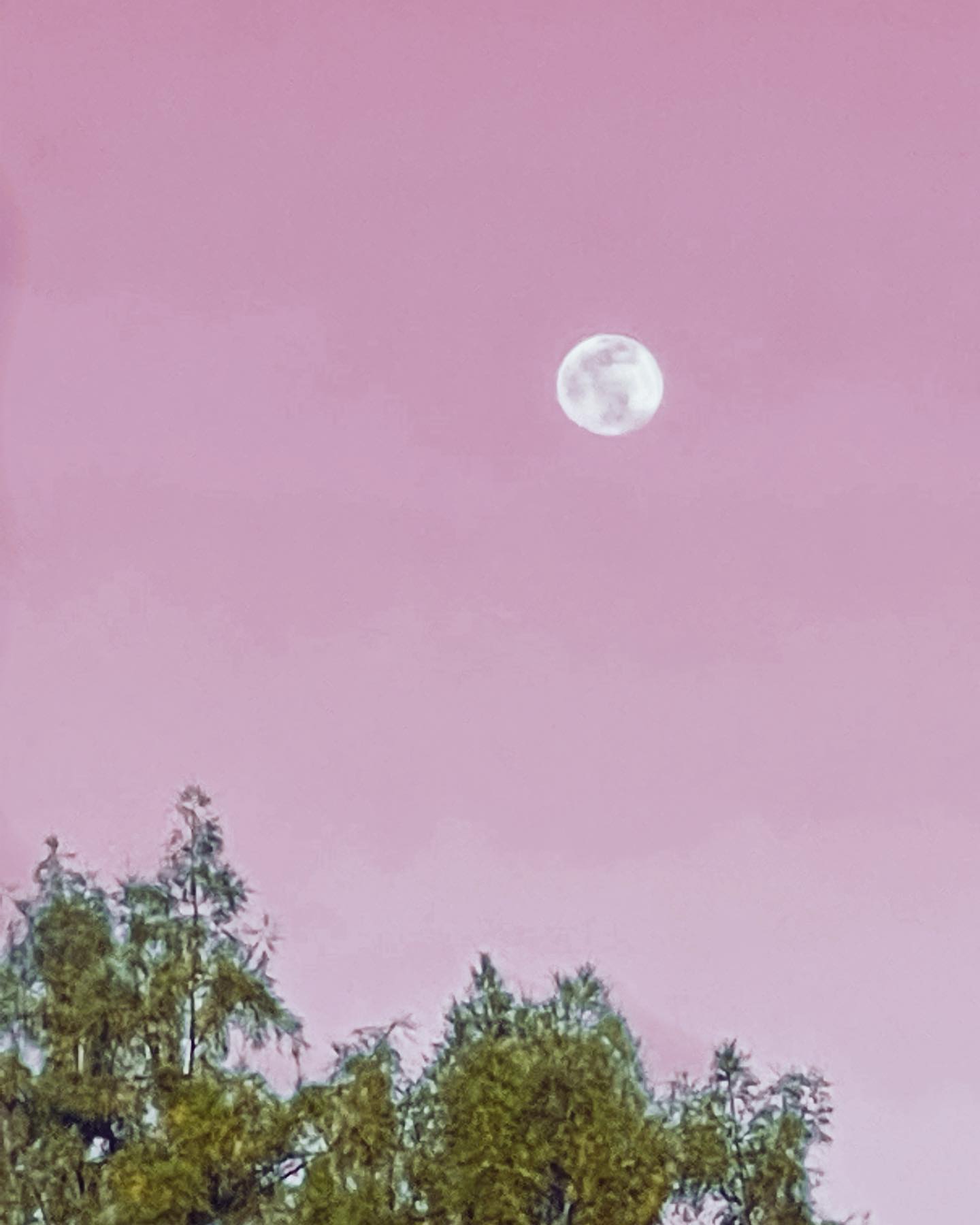 The moon does not fight. It attacks no one. It does not worry. It does not try to crush others. It keeps to its course, but by its very nature, it gently influences. What other body could pull an entire ocean from shore to shore? The moon is faithful to its nature and its power is never diminished.