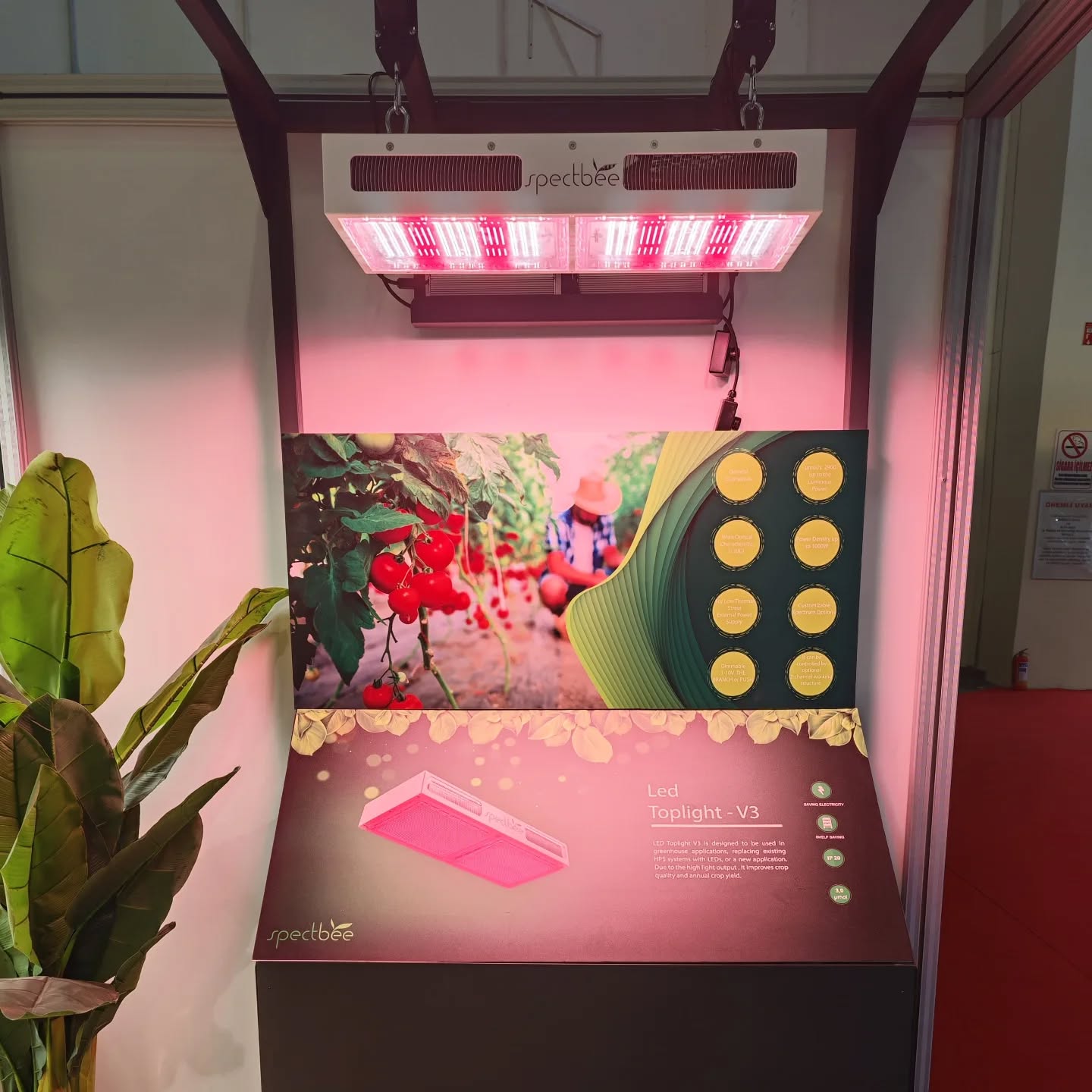 LED Toplight V3, sera ekim aydınlatma uygulamalarında, mevcut HPS sistemlerinin LED'lerle değiştirilmesinde veya yeni bir uygulamada kullanılmak üzere tasarlanmıştır. Yüksek ışık çıkışı (3000 µmol/s) sayesinde ürün kalitesini ve yıllık ürün verimini artırır.
LED Toplight ürünü birçok üründe kullanılır: sebzeler, meyveler, kesme çiçekler. Ürünün standart bir yetiştirme spektrumuna sahip olmasının yanı sıra bitkiye özgü, özel spektrumlar da sağlayabilir. Tercihe göre otomasyon sistemleriyle birlikte kullanılabilen ürün sayesinde kullanıcıya yetiştirme döneminde esneklik sunar.
LED Toplight V3 is designed to be used in greenhouse october lighting applications, replacing existing HPS systems with LEDs, or a new application. Due to the high light output (3000 µmol/s), it improves crop quality and annual crop yield.
LED Toplight product is used on many crops: vegetables, fruits, cut flowers. In addition to the fact that the product has a standard growing spectrum, it can also provide plant- specific, special spectra. Thanks to the product that can be used with automation systems according to preference, it offers flexibility to the user during the growing period.