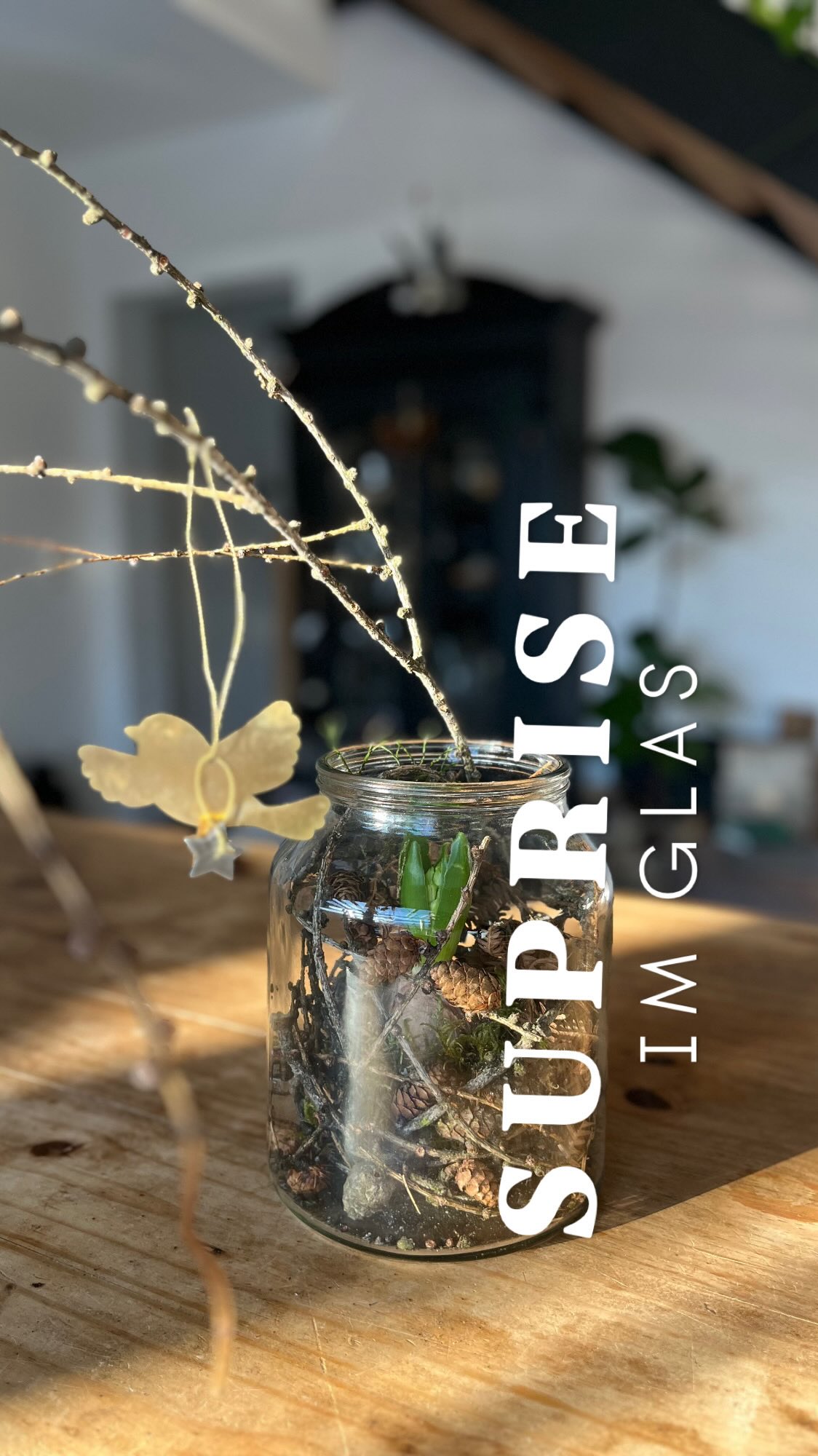 Zauber im Glas
Ich hab hier ein altes Gurkenglas in meinem Kasten gefunden und möchte daraus jetzt was nettes für den EssTisch machen.
Habt ihr Lust auf eine schöne Idee?
Die könnt ihr ganz leicht zu Hause nachmachen!
Ihr braucht einfach ein größeres Glas oder eine Vase ein paar Zweige, die ihr beim spazieren gehen gefunden habt. Gräser Zapfen Laub ein bisschen Moos vielleicht was ihr so findet, wenn ihr draußen herumspaziert ☺️
Ich hab aus der Gärtnerei auch eine Hyazinthe mitgenommen. Ich liebe das, wenn sie so zwischen den Zweigen heraus wächst.
Das ist so, als hätte man ein Stückchen Natur im Glas und kann beim wachsen direkt zuschauen!
Die Hyazinthen Zwiebel lege ich vorher kurz ins Wasser und entwickle sie mit ein bisschen Moos oder trockenem Laub. So hält sie die Feuchtigkeit besser und du brauchst keine Erde.
In das Glas lege ich jetzt die verschiedenen Zweige Zapfen… rein und die Hyazinthe kommt in die Mitte. Durch die Zweige wird sie schön gehalten beim wachsen. Wenn sie mal verblüht ist, kannst du sie einziehen lassen und dann im Herbst auch in den Garten oder einen Topf setzen.
Wie gefällt dir die Idee?
Wenn du auch so gern mit Naturmaterialien dekorierst wie ich dann folgt mir gern viel mehr Inspirationen 🤍
Viel Spaß beim kreativ sein!
Alles Liebe deine Meli mint
#diy #dekoliebe #selbermachen #natur #naturdeo #hyazinthe #glas #dekoration #home #love #dekoidee #gartenliebe #naturkind