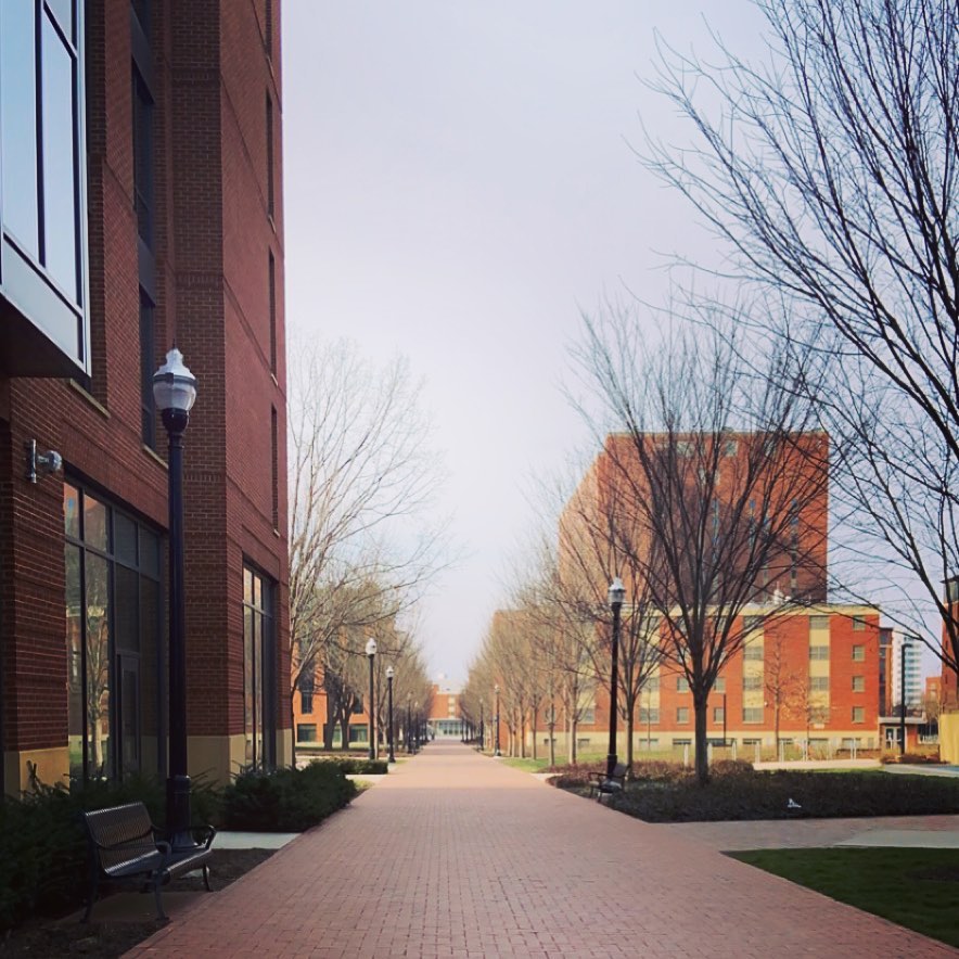 North campus at OSU is truly a beautiful place. 🌰 Don’t forget to look at everything in a new perspective.