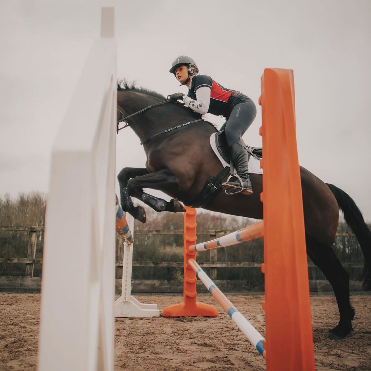 Get ready to be swept off your feet at the Hillcrest Summer Show Series in Riverhead! 🌟 We’re bringing the thrill with breathtaking jumps that’ll have you on the edge of your seat! While the action starts at 8, our excitement arrives fashionably at 10, offering exclusive deals to all attendees. And that’s not all - enjoy FREE shipping for long island ONLY! Don’t miss out on this incredible event! 🌟
🐎✨Hello everyone, horse enthusiasts, and fellow dream chasers! 👋 I’m Juliana Lingner, a 22-year-old with an unbridled passion for horses, and I’m thrilled to introduce myself as both the proud owner of Topline Equine and the North American distributor of PolyJumps! 🌟 It’s been an exhilarating journey to get here, and now, I’m beyond excited to bring these top-notch jumps to this upcoming event. Teaming up with Darlene Wilcox, the visionary owner of Hillcrest Stables in Riverhead, we’re set to create an unforgettable experience! I can’t wait to connect with each of you, share stories, and witness the incredible talent of riders together. Let’s make this event a true celebration of our shared love for horses! 🏇
DM for any questions!!! See you there :)