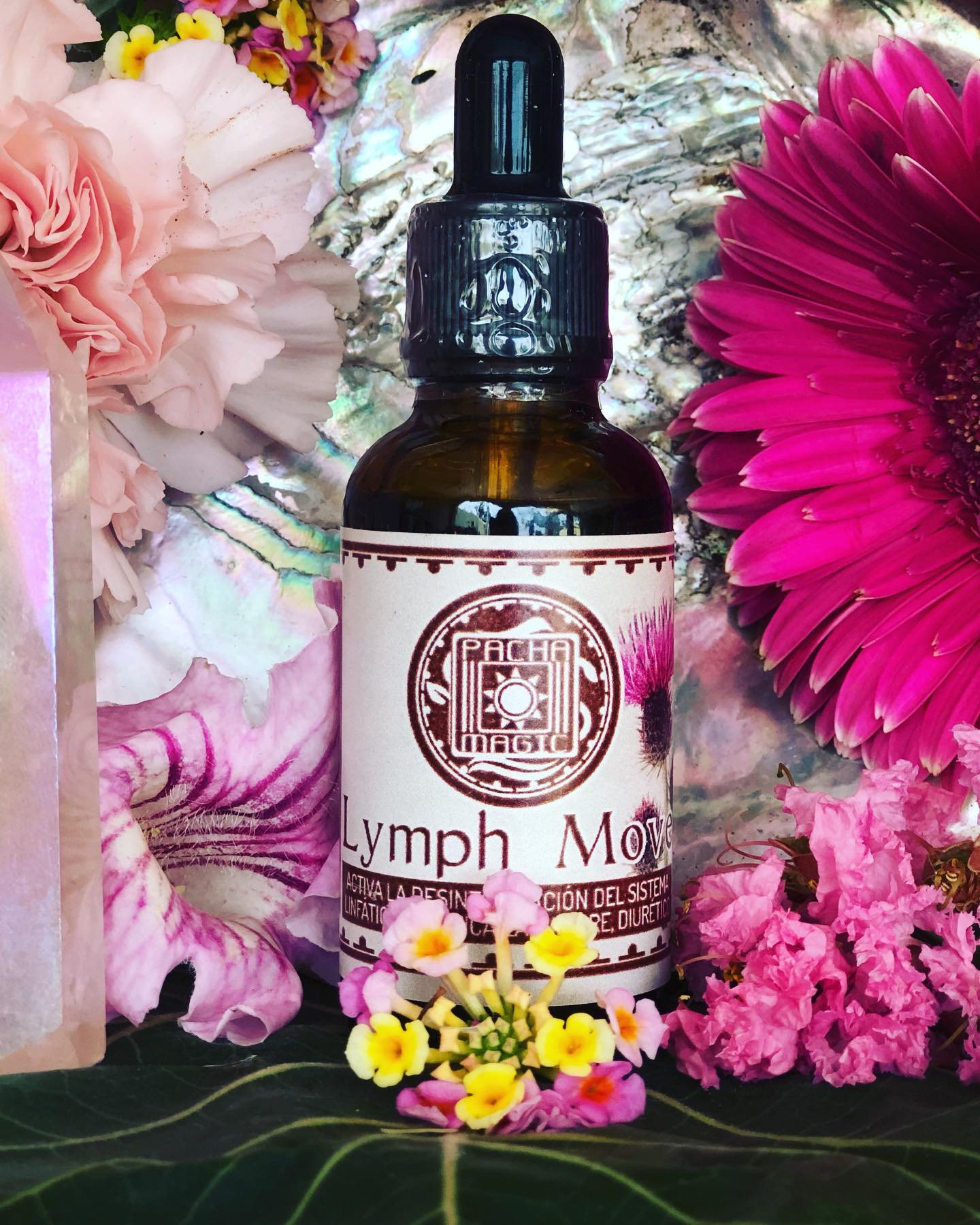 Lymph Mover 🌸
Activa la desintoxicación del sistema linfático, purifica la sangre, diurético.
A veces el sistema linfático requiere de una buena sacudida pues el cuerpo tiende a acumular líquidos en esta area si se lleva una vida sedentaria. Tener un sistema linfático activo nos ayuda a evitar enfermedades, a pensar con claridad y a literalmente que fluyan las aguas en nuestro cuerpo. 🌸🌺🌼
Con cleavers, equinacea, hoja de frambuesa, calendula, chickweed y bardana. 🌱