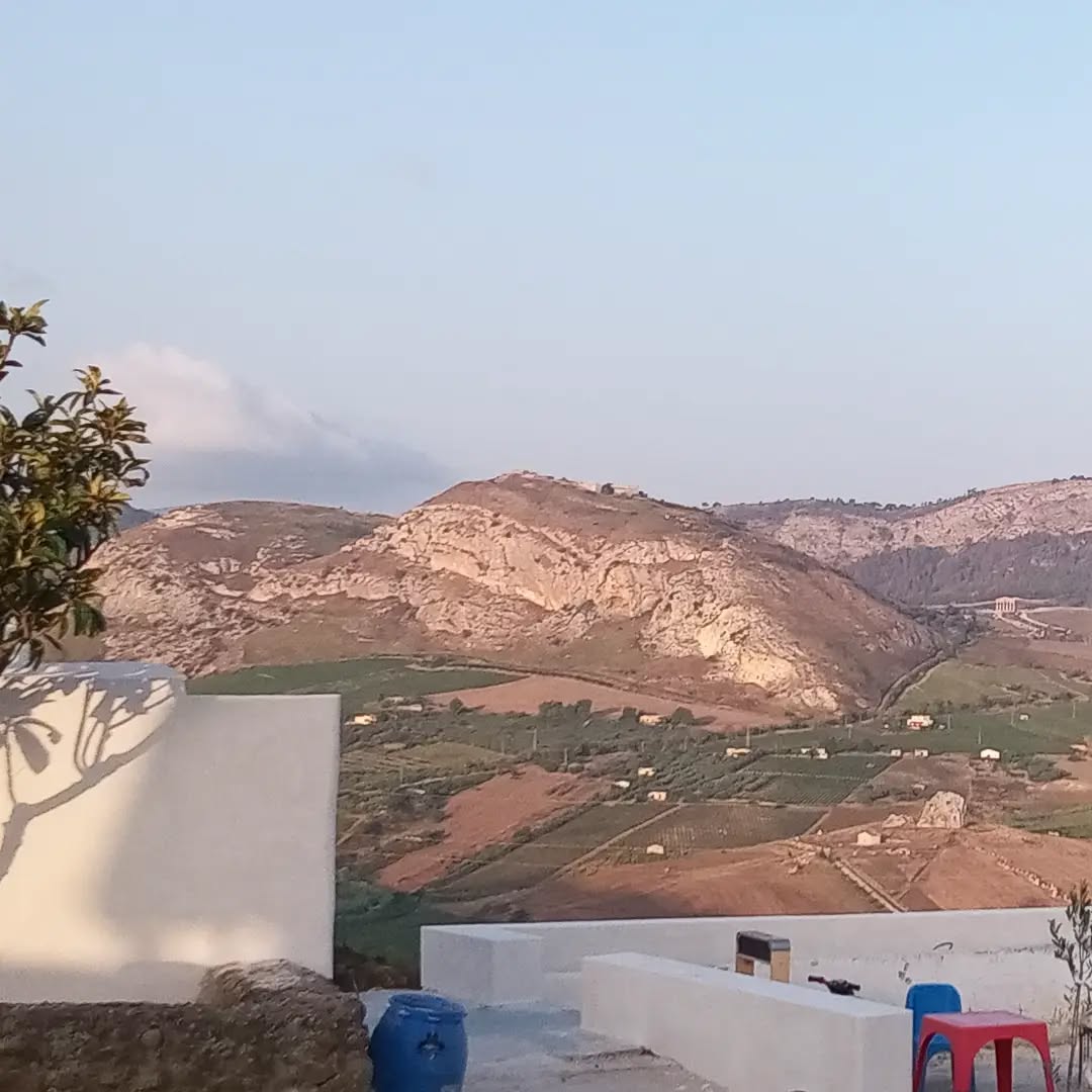 Bonjour!!!
#frommywindow #beautifulview #countryside #segesta #boscoemma #sicily