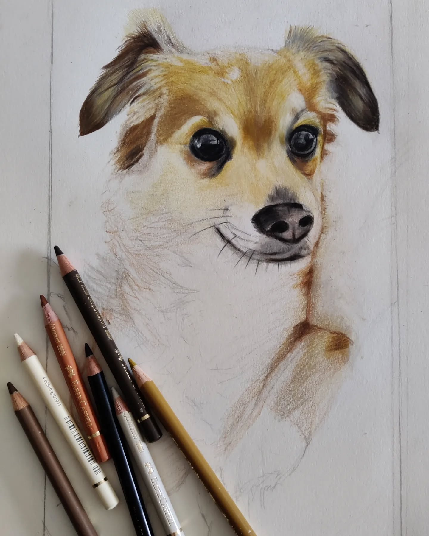 Work in progress.........sweet little Ruby....have drawn a dog for sometime now..... enjoying this little cutie!
# dogs #pets portraits