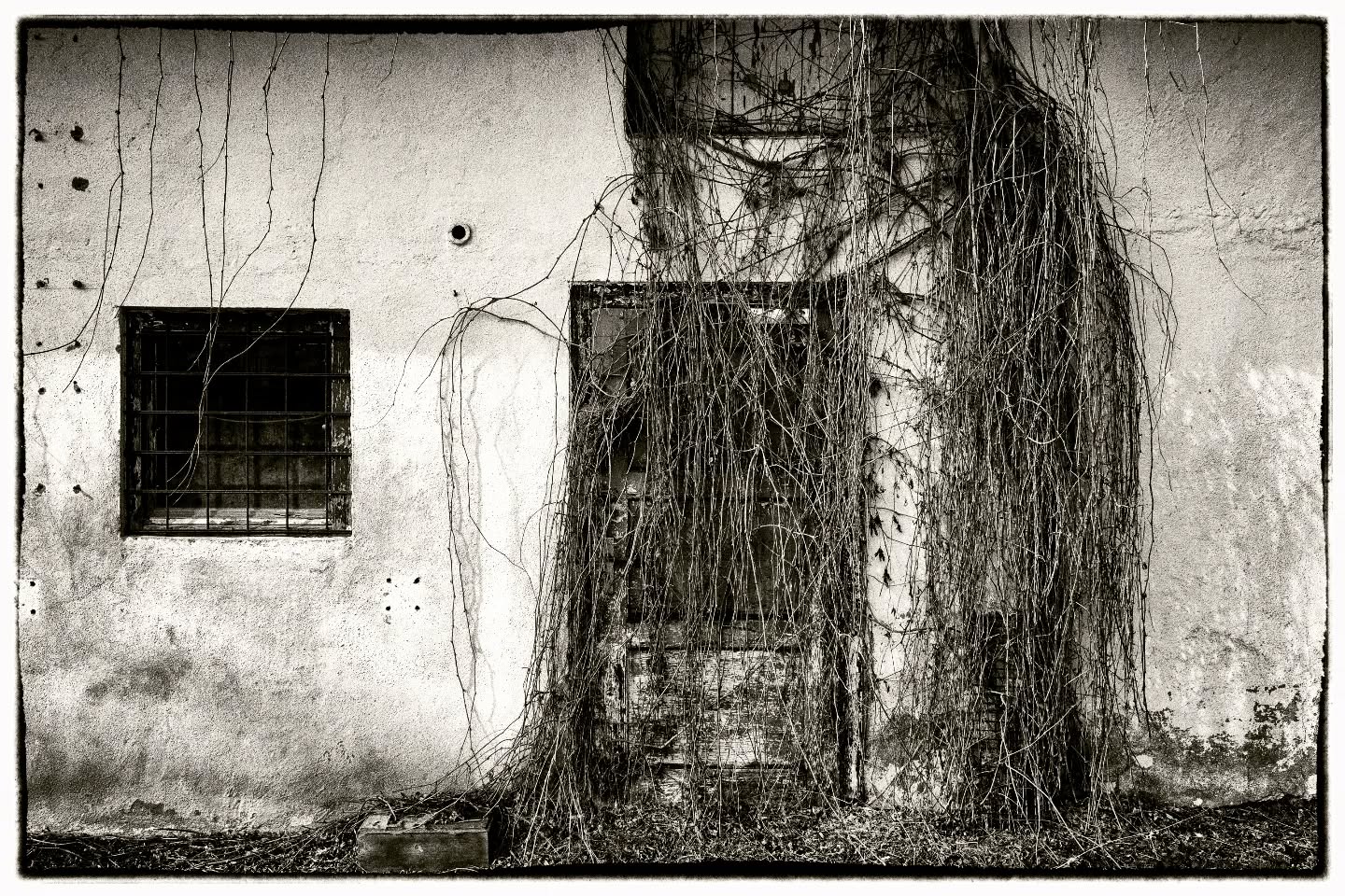Abandoned II
Nicht nur in Italien auch in Deutschland gibt es verlassene, aufgegebene Orte.
.
.
.
.
#fujixseries #fujixt4 #fujifilm #xf1655mm #fujifilmde #fujifilmfeaturetime #abendoned #abendonedplaces #baum #tree #natur #nature #fineart #fineartphotography #fineart_landscape #reportage #finearts #fineartphotographer #palaceoffinearts #fineartist #fineartphoto #nature #b&w #spring #fujifilm_global #munich #bavaria