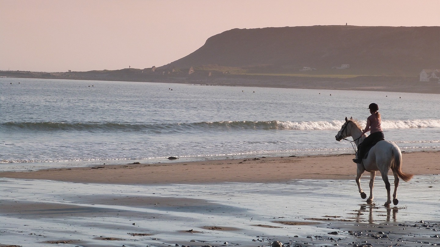 🌊Have you tried riding on the beach before?
👏🏼The feeling of being so free with the wind in your hair, the waves lapping and the epic views from up high!
It is an experience like no other 😍
#beachriding #ilovemyhorse #horseridinguk #albionsaddles #jumpsaddle #showjumping #workinghunter #equitation #equipe #fairfaxgareth #fairfaxsaddle #saddles #horsesaddles #girlsthatride #horserider #countrylife #adayinthelifeofasaddlefitter #equestrianlife #horsesofinstagram #horses #stirrups #saddlefacts #saddler #equestrians #Saddletrader #saddletraderuk #saddlesforsale #equestrian #equestrianlife #horsesarelife