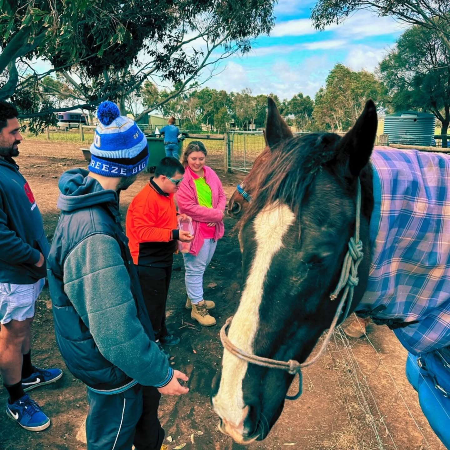 Feeding our beautiful friends in the paddock! 🐴💖 Nothing brings us together like sharing moments with these gentle giants. ☀️
.
.
.
.
.
.
.
.
.
#registeredprovider #NDIS #UnleashCreativity #BreakingBarriers #SupportingTalent #abilitynotdisability #disabilityservicesadelaide #communitysupport #autismawareness #disabilitysupport #ndisadelaide #smallbusinessaustralia #dayoptions #farmlife #gardeningaustralia #ndissupport #communityaccess #smallbusinessadelaide #smallbusinessowner #supportworker #disabilityinclusion #attunedcare #adelaidedisabilitycare #disabilityservicesadelaide #myadventures #ndis #ndisprovider #gosouthgolocal