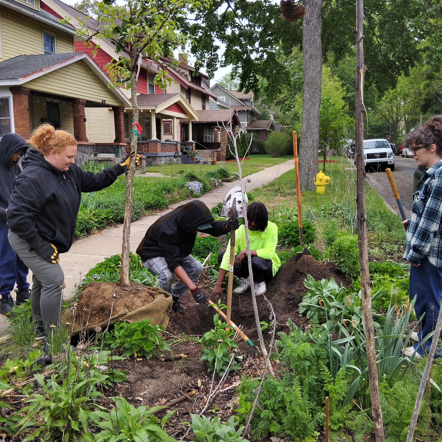 “A society grows great when old men (and women) plant trees in whose shade they shall never sit.” — Greek Proverb
Thank you @friendsofgrparks for providing new trees and helping plant them on a cold, rainy morning. Twelve new trees went in this morning on the block, filing in gaps where we lost mature trees.