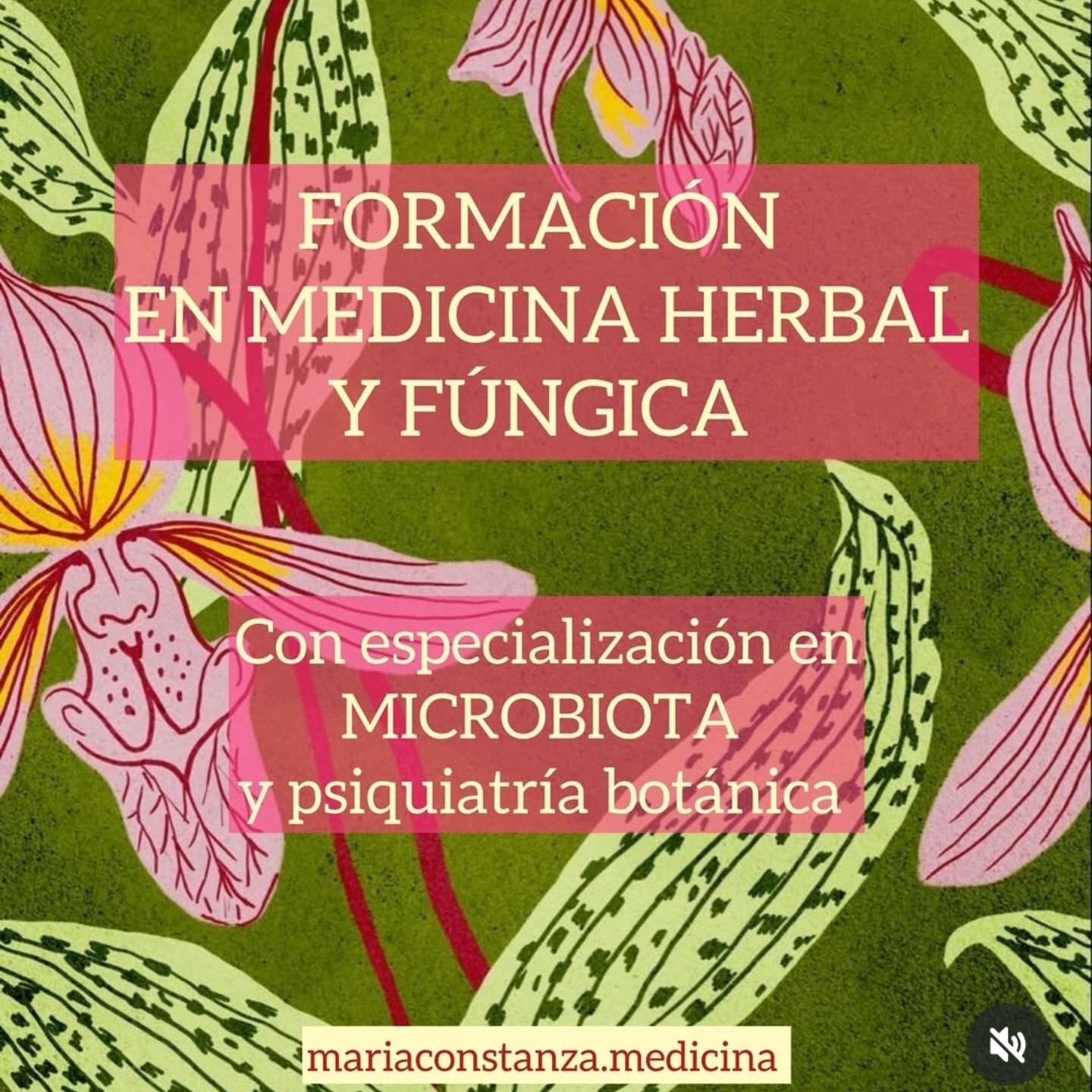 Este mes comienzo oficialmente esta formación, ¡y no puedo estar más feliz! 🩷 Cada vez me siento más conectada con mi propósito y con mi ser genuino. 🙏🏻
La terapia funcional va directamente a la raíz de nuestros síntomas, entendiendo que somos un cuerpo mental, energético y físico.
Desde niña siempre sentí una gran curiosidad por entender las causas profundas de las cosas. Cada vez que alguien me contaba algo, mi mente rápidamente trataba de descubrir de dónde venía lo que le pasaba. Así seguí siendo durante mi adolescencia. Sin embargo, con el tiempo, esa conexión se fue perdiendo. He tenido que pasar por muchos procesos para volver a ese lugar.
Es por esto que mi profesión como terapeuta no tiene límites. Soy una eterna buscadora de la raíz de lo que aqueja a las personas, y es ahí donde quiero estar y me quiero quedar. Es verdaderamente por esto que no dejo de observar ni de estudiar.
Creo en un mundo sano y feliz, aunque esto, sea una utopía.
.
@mariaconstanza.medicina... nunca dejes de enseñar!!🙏🏻