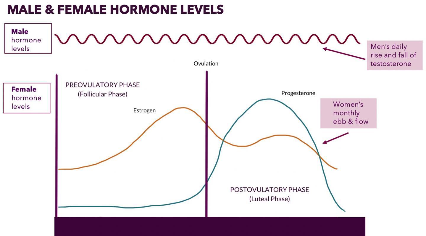 The difference between male and female hormone release 🤍💖
The male release of testosterone happens in a 24 hour cycle. It starts rising in the early hours of the morning, peaks around 7-10am and then drops in the afternoon.
Whereas for women, we have a monthly rhythm with hormones moving through an ebb and flow pattern across 4 or so weeks.
This is why it’s so important to have a relationship with and listen to your body instead of trying to fit in with what you think is expected, and inevitably end up giving yourself a hard time when you don’t fit the ‘model’ 😟
Your body is showing you and communicating what adjustments and changes are needed - whether that be around sleep patterns, food choices, exercise programs, work schedules, self-care, social commitments and so on.
There are always adjustments we can make, even if ever so small, to honour what our body is calling for - ultimately to support optimal health and wellbeing but most of all, to support a more enriching and meaningful relationship with yourself and with all aspects of life 🥰🙌🏼
For 1:1 sessions, get in touch. And see the FYF website for more on cycles, fertility awareness and more 💖
#followyourflow #knowyourworth #knowyourbody #womenshealth #hormonalhealth #hormonalbalance