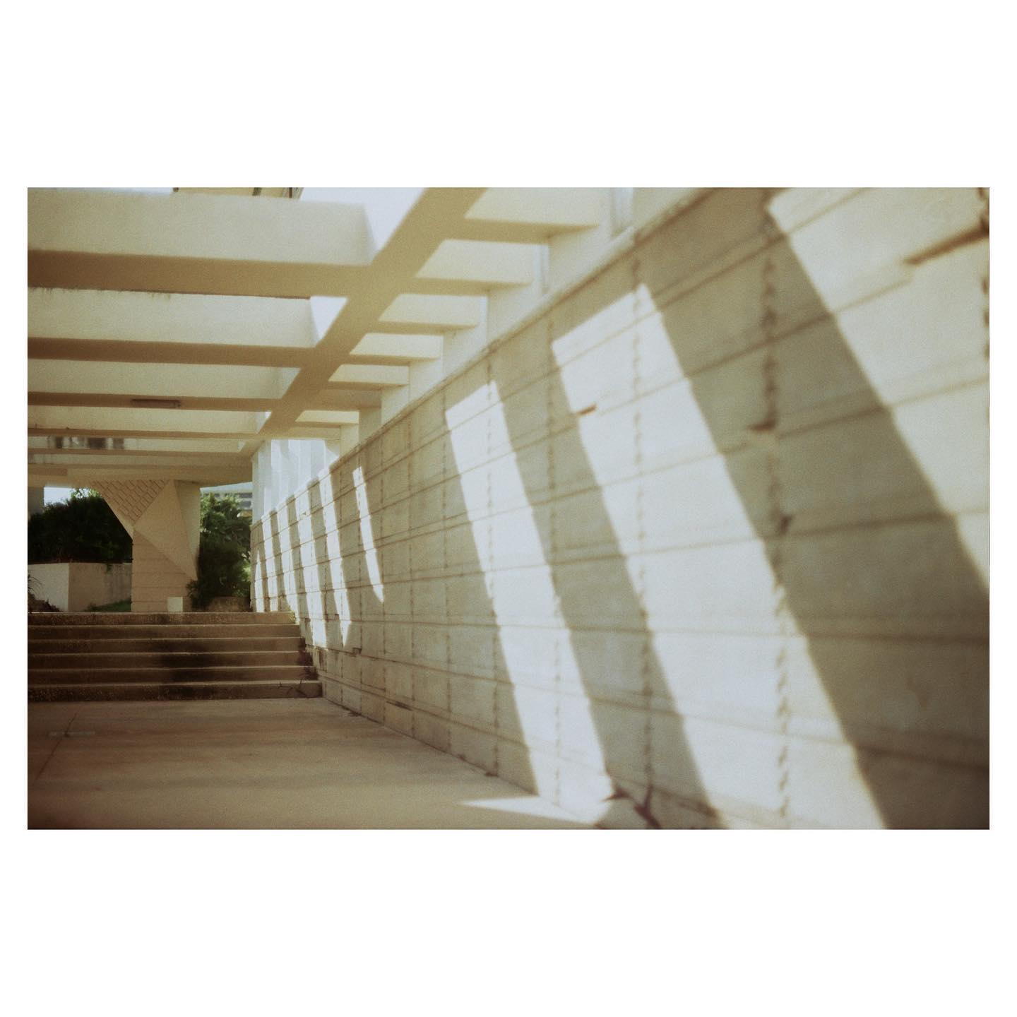 Florida Southern College by Frank Lloyd Wright
📷: canon ae-1 / kodak gold 200
#ae1 #35mm #canon #canonae1 #kodak200 #kodak #kodakgold200