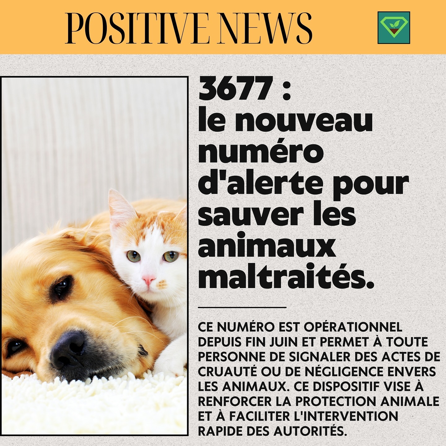 #savoir#histoire#insolite#lesaviezvous#greenisyou#info#culturegenerale#nouvellespositives#animaux#chien#chat#animauxmaltraités#numerodurgence#maltraitanceanimale