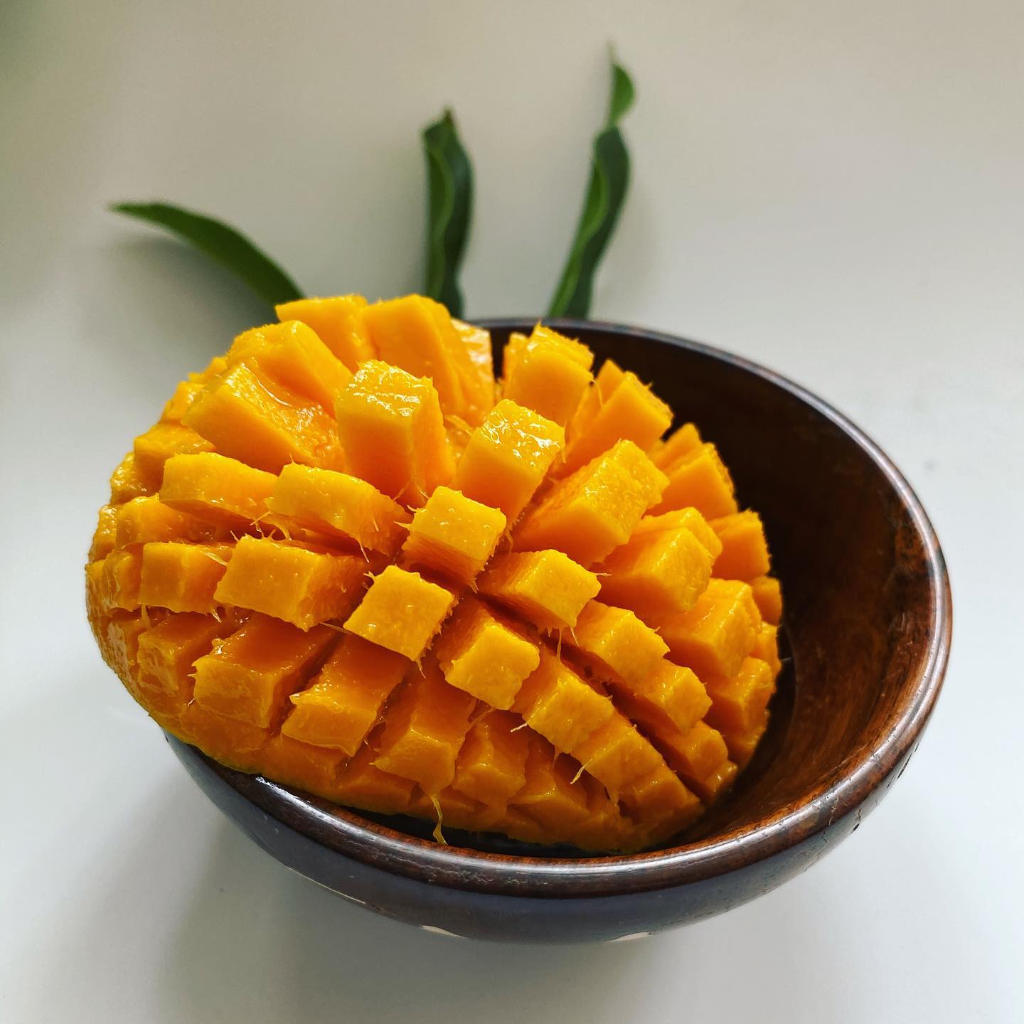 No filter
Mangoes for any and every dish this season end!!
.
.
.
.
.
#alphonsomangoshake #alphonsomangopurée #alphonsomangoislove❤️ #alphonsomangotree #alphonsomango🍋 #alphonsomangocake #alphonsomangomoussecake #alphonsomangomenu #alphonsomangoicecream #alphonsomangosorbetto #alphonsomangodrink #alphonsomangoseason #alphonsomangoesalldayeveryday #alphonsomangoshake❤️🤩 #alphonsomangomousse #alphonsomangoicecreamroll #alphonsomangocakes #alphonsomangoes🍋 #alphonsomangosaltnic #alphonsomangoinindia #alphonsomangopune #alphonsomangocrush #alphonsomangocheesecake #alphonsomangojuice #alphonsomangotea #alphonsomangos #alphonsomangopudding #alphonsomangococonutpudding #alphonsomangoes🍋🍋 #alphonsomangopulp