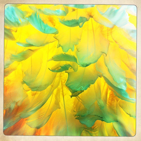 ✨🦋✨inspired✨🦋✨#rockandstone #summersolstice #goldenfeather #light #shopsmall