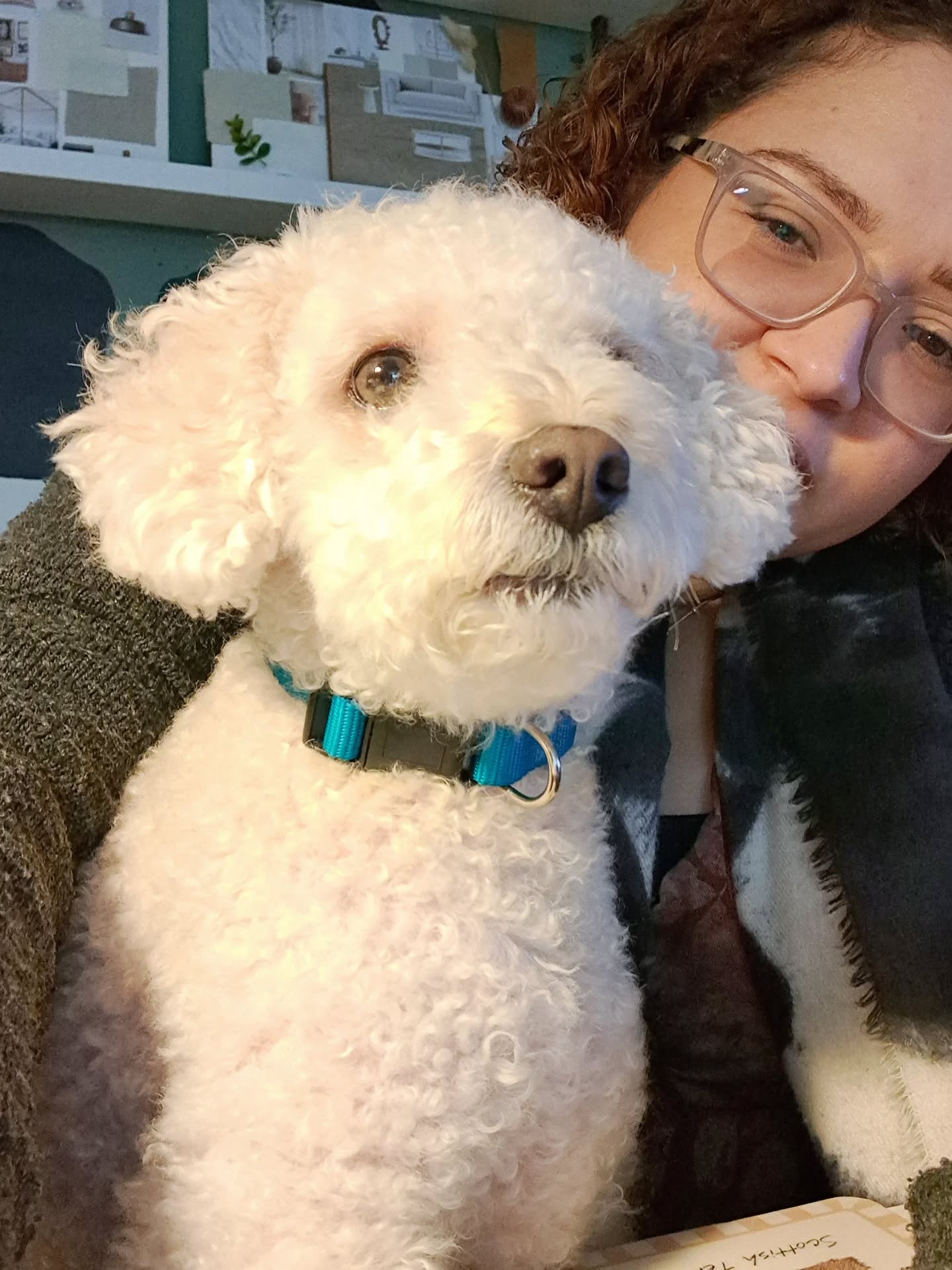 Archie is waiting for clients. I’m reminding him it’s January ❄️🌧️🥲 Slow season cuddles instead.
At least the shop assistant is still on duty 🐾
#MarInteriors
#ShopDog
#smallbusinesslife