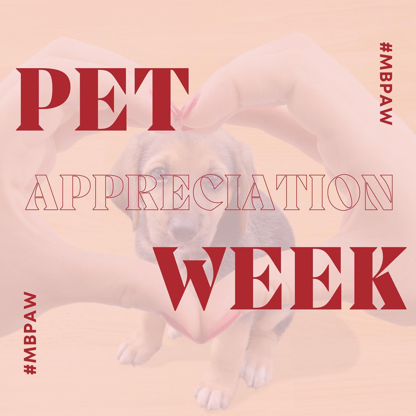 It's Pet Appreciation Week, and we want to feature YOUR pet! Tag us and use #MBPAW in your pet appreciation posts to be featured! ❤️