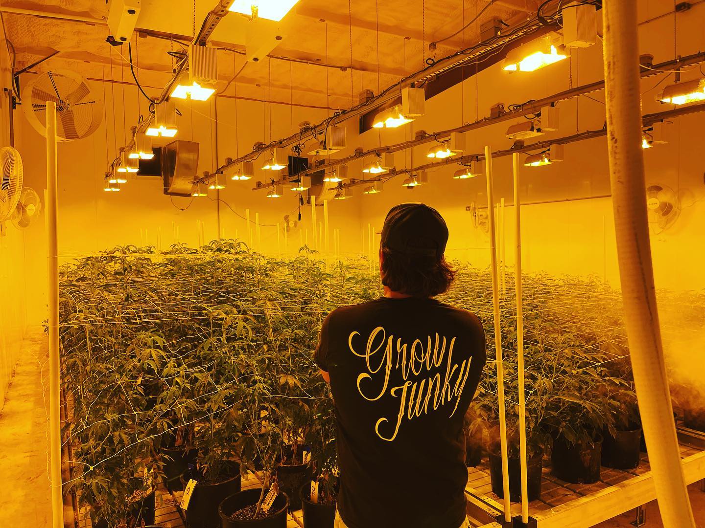 Rebuilding our rooms over here