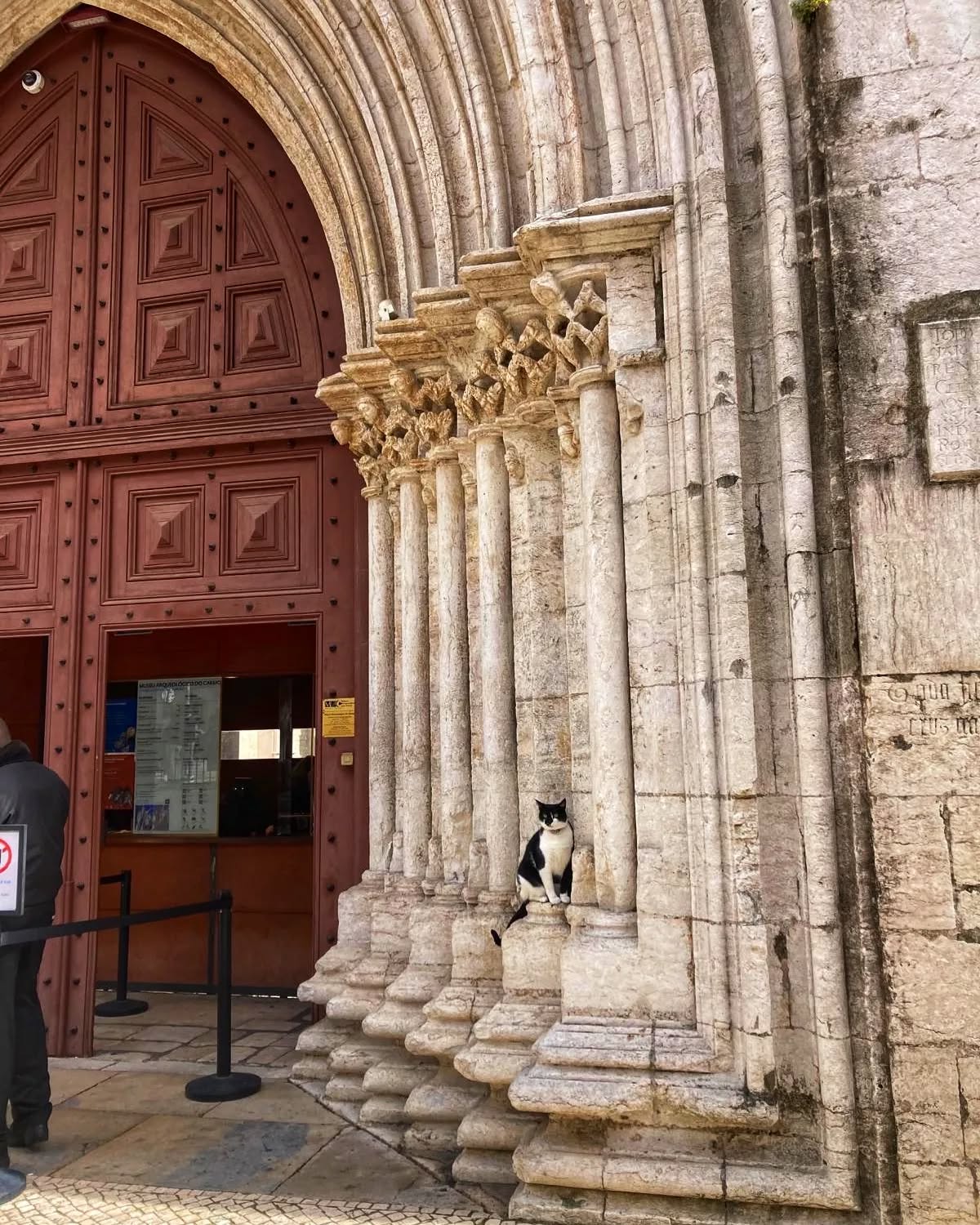 Have you ever been to the CAThedral of Lisbon? 😸🥁
📸 by our Guide Telma
#badumtsss #lisbonlovers #Lisbon #catsofinstagram