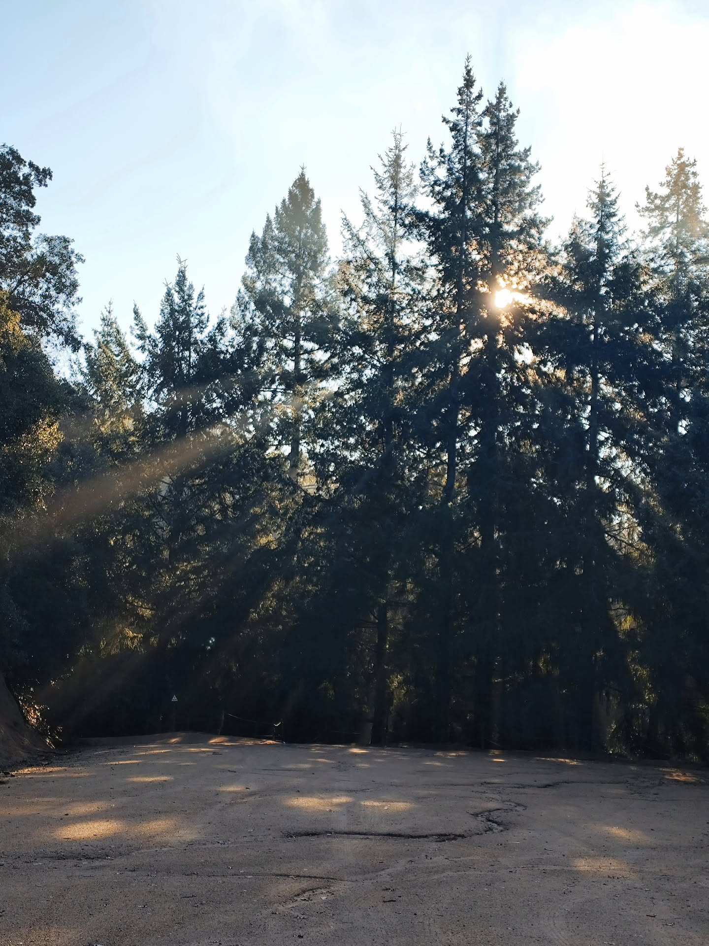 Aquest cap de setmana us esperem al Bosc elàstic! Sembla que veurem una mica el sol i tot🌞
#boscelastic #sortirambnens #salirconniños #letsplay #diaenfamilia