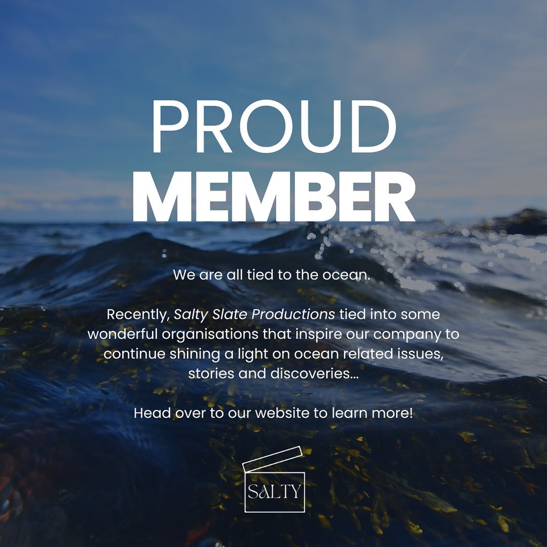 💡Link in bio to learn more!