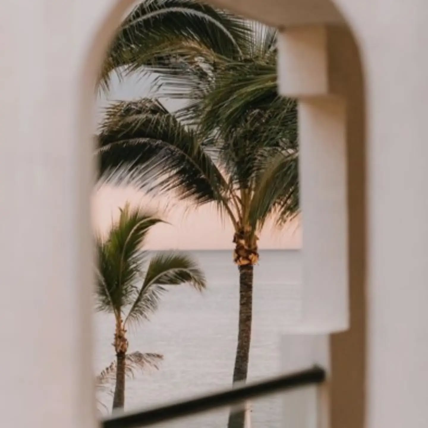 ❋ FLIP FLOP STATE OF MIND ❋
__
L'équipe Ozâme prend le temps de se ressourcer.
Nous nous retrouvons le samedi 07 septembre pour partager de nouvelles expériences avec un planning enrichi !
Les inscriptions sont déjà ouvertes sur notre site !
Nous vous souhaitons un été apaisant, porté par le flow de la vie.
#flow #exhale #dream #recharge #meditate #yoganancy #maisonholistique #sweetsummer #ozamefamily