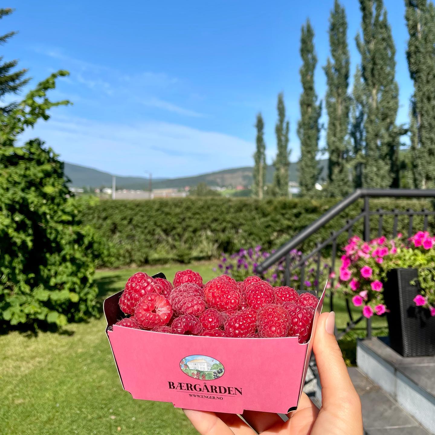 Finnes det egentlig bedre fredagsgodteri? ✨
Ring 917 96 096 for bestilling.