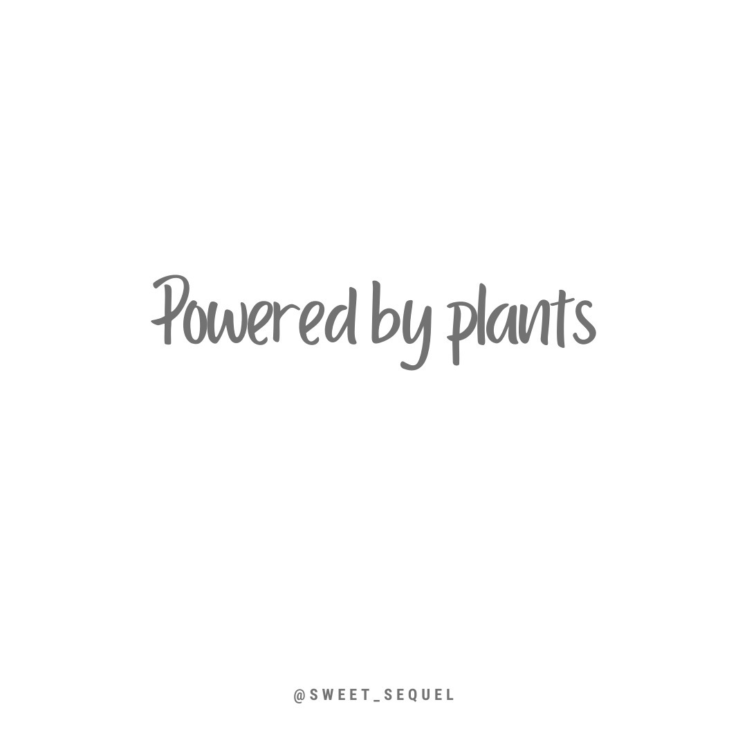 Why choose preservative-free, plant-based desserts?
There's no mystery really. Nature is full of good stuff our bodies can use. Without judgement or condemnation, we celebrate plant-based ingredients - just pure, wholesome goodness in every bite.
.
Your taste buds and your health deserve the best. 😋
🌿 #SweetSequel #SweetThoughts #WholesomeChoices #CleanEatingJoys