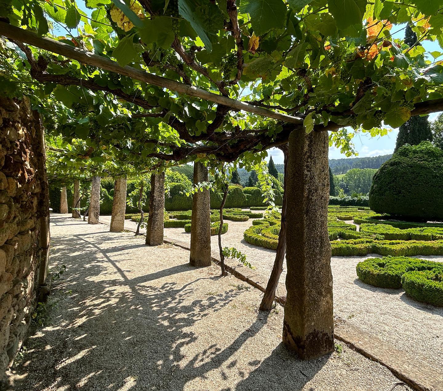 A fairy tale garden deep in the Duoro Valley. Mateus Palace gardens are a sprawling yet beautifully organised feat, with floral scents filling the summer air.
#summer #garden #palace #portugal #duoro #cherry #vines #winery #arbour