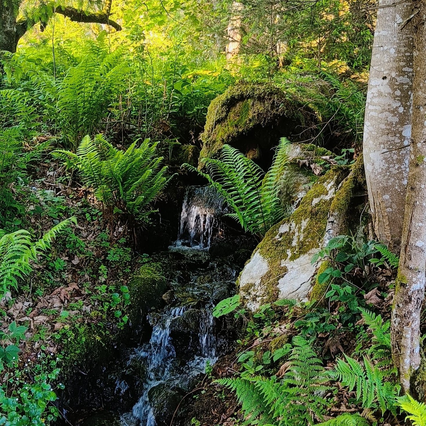 RAUS - an die Luft, ins Grüne, sich frei fühlen
Ihr findet den Juli Newsletter in eurem Postfach, viel Spaß beim Lesen ♡
.
.
#yogawellbeing #newsletter #sommeryoga #tirol #studiowellbeing #yoga #yogainspiration #news #yogalife #yogi #mindfulness #yogateacher #yogalove