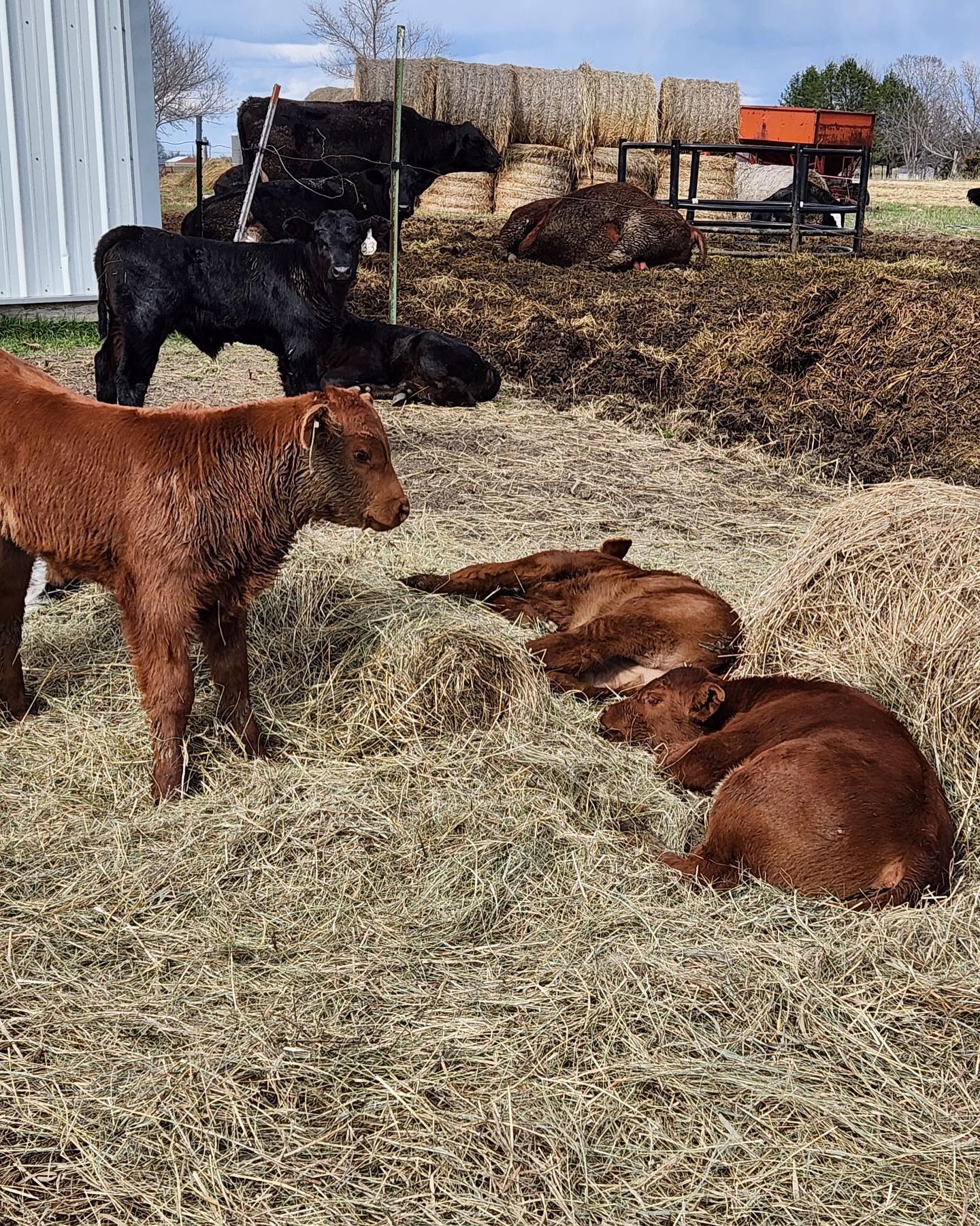 Play. With. Me!! No more napping!