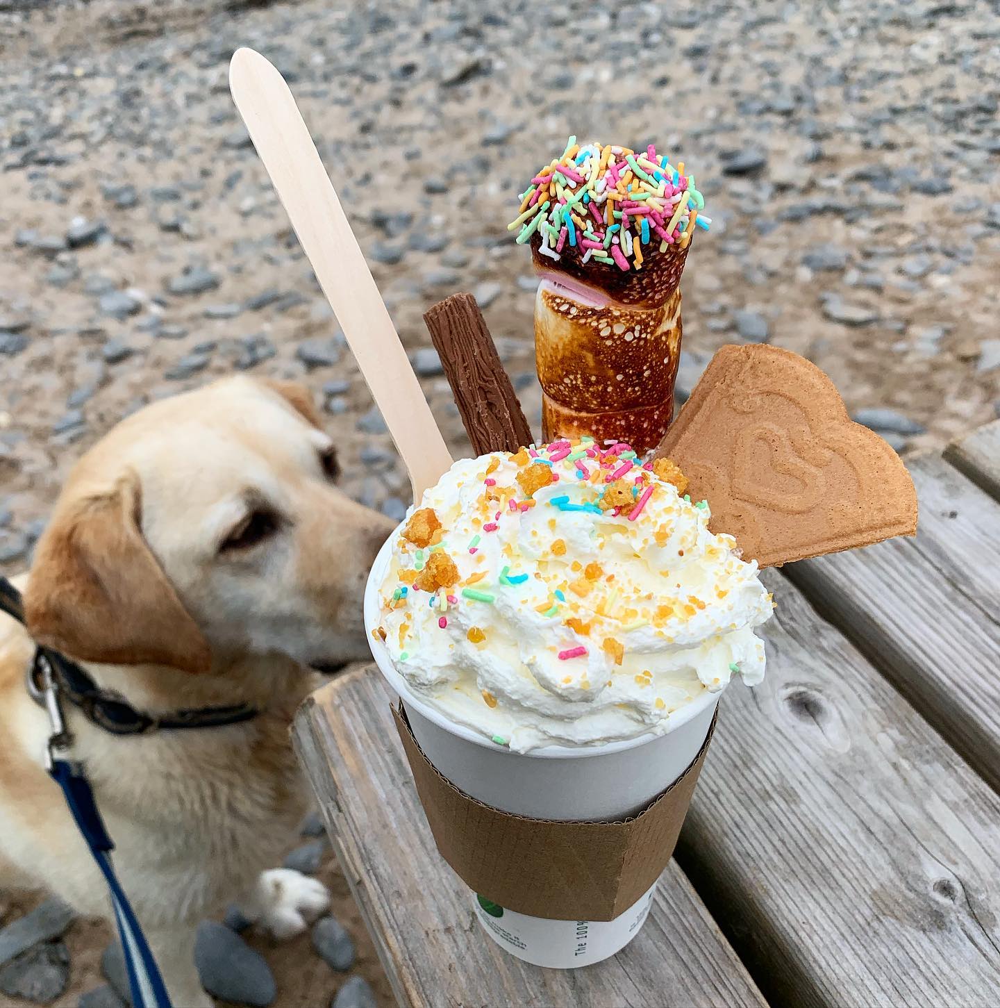 Dreamy weekend by the 🌊