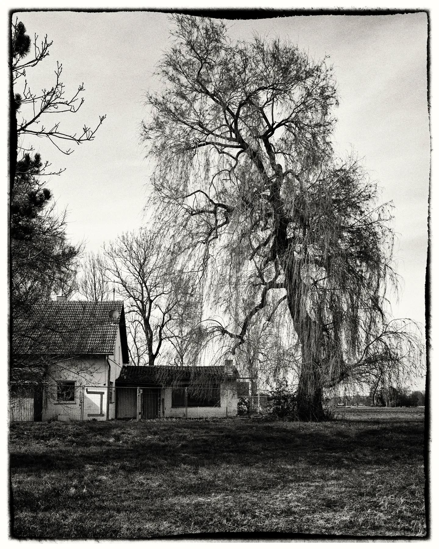 Abandoned
Nicht nur in Italien auch in Deutschland gibt es verlassene, aufgegebene Orte.
.
.
.
.
#fujixseries #fujixt4 #fujifilm #xf1655mm #fujifilmde #fujifilmfeaturetime #abendoned #abendonedplaces #baum #tree #natur #nature #fineart #fineartphotography #fineart_landscape #reportage #finearts #fineartphotographer #palaceoffinearts #fineartist #fineartphoto #nature #b&w #spring #fujifilm_global #munich #bavaria