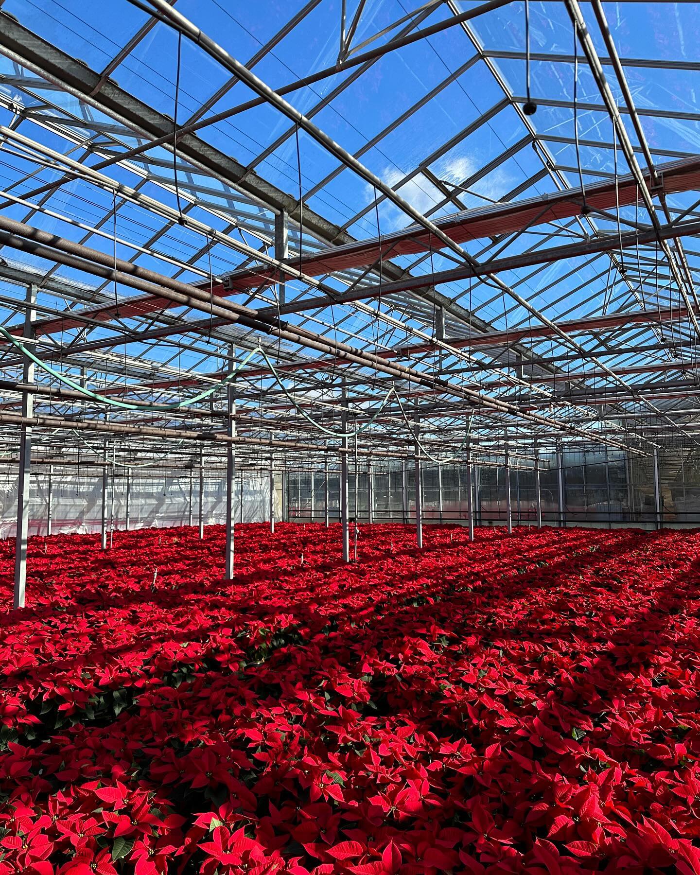 We are ready for the holidays to begin! 😍