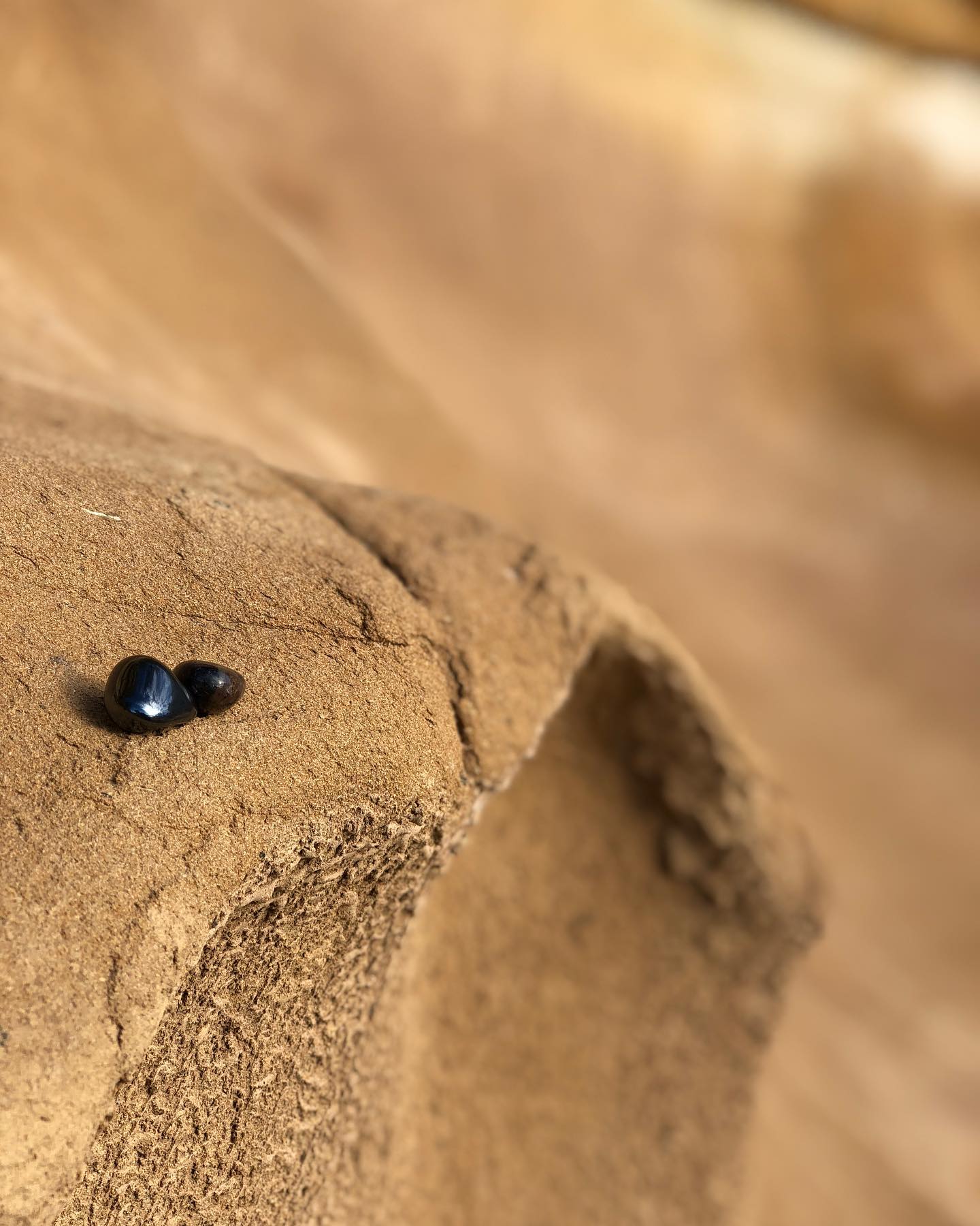 Simplicity. Your website is the backbone of your digital marketing. It is important your website is easy to understand, has clear navigation gives a clear message. #webdesign #centralcoast