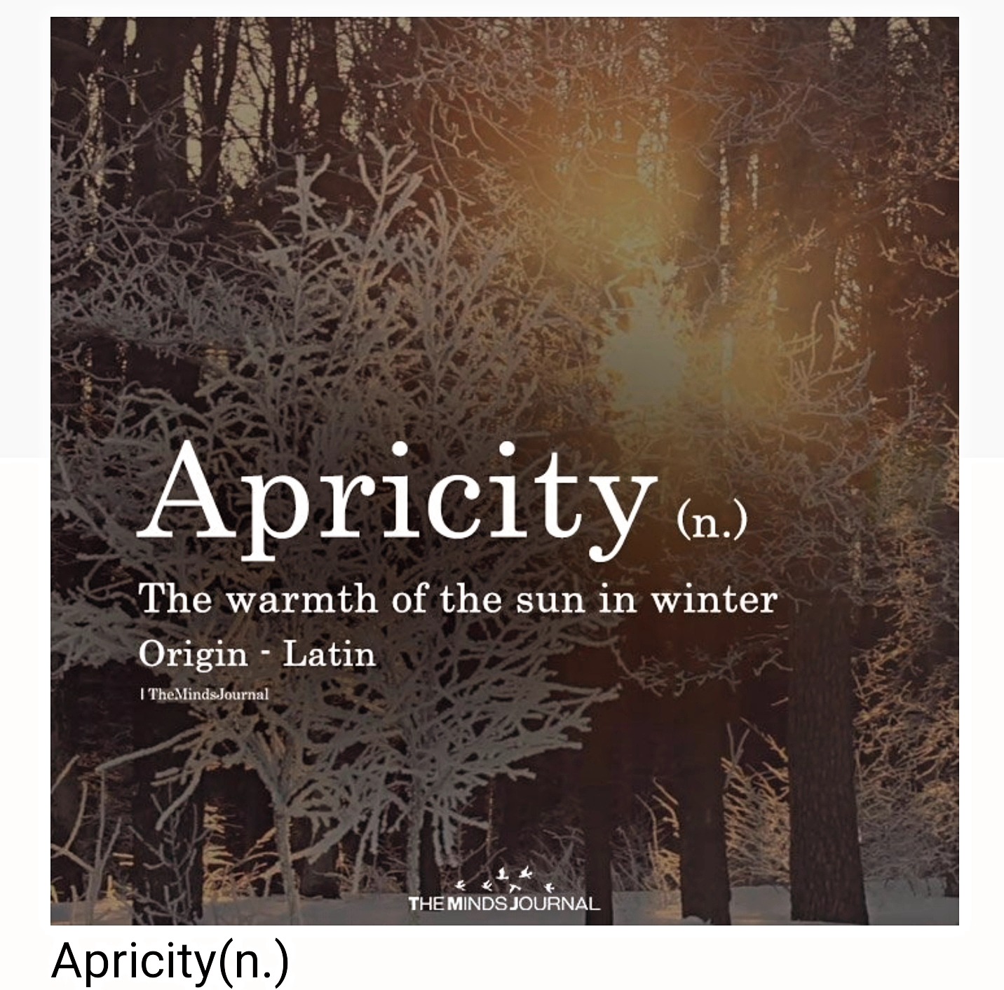 By The Mind's Journal.