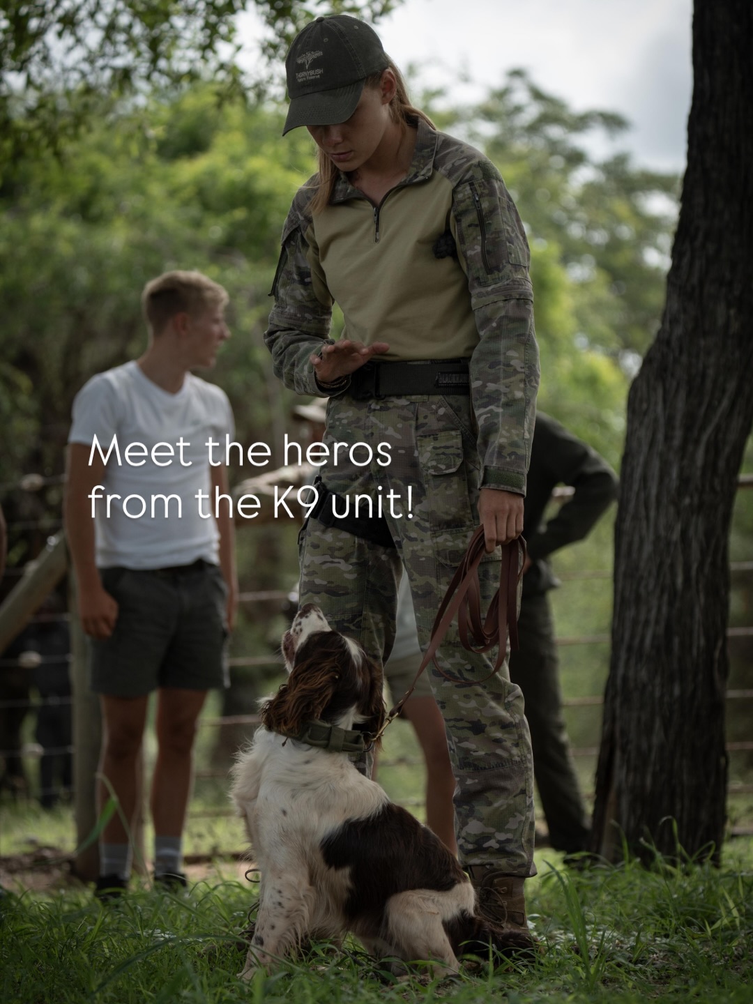 Ever wondered what it looks like behind the scenes of real wildlife protection?
At Siviti, you get the rare chance to see it up close.
Our guests can visit a dedicated K9 Anti-Poaching Unit, a team working tirelessly to protect the incredible wildlife of the Greater Kruger, including endangered rhinos and the elusive pangolin.
You’ll meet the highly trained dogs, watch how they work with their expert handlers, and get a firsthand look at the heart, skill, and bravery that goes into safeguarding the wild. It’s an experience that stays with you long after your safari ends.
If you’d like to visit during your stay, just chat to your butler, they’ll gladly arrange everything.
#safari #africansafari #wildlifeofsa #wildlifesafari #wildlifeofinstagram
krugernationalpark thornybushgamereserve luxurysafari luxurysafarilodge travelsouthafrica southafricasafari big5 conservation thisissouthafrica soulful_moments wildlife