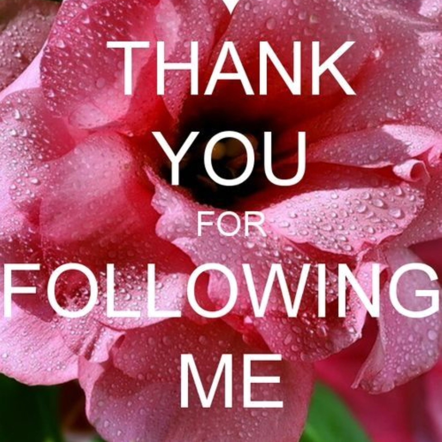 I just wanted to say, thank you to our new followers! We're almost to 500, and Paul and I thank you!
I do return the support.
I haven't been on social media much, but I immediately return the follow.
(By the way, did you know, for those of us with ADHD nervous systems, and dopamine driven, distractable brains, it's beneficial to limit our screen time for our mental health. 😊)
For another reason, life is busy for us all, right? I've been working behind the scenes though. Amazon Prime is slower at receiving shipments than initially expected, but one fragrance at a time, they'll be available on Amazon Prime, as well as our website. www.lightoftheworldcandles.com
And, very soon, a new and updated candle line will be posted. This new line that has been requested by many, and I'm thrilled to have it available soon. I was timid to try, but I'm so glad I pushed through the unknown anyway. This new line is amazing!
Hints for our new collection:♥️
Better air quality than burning store bought candles. It more than likely, and should help diminish headaches to those of you who get headaches with traditional candles. I pray this helps those of you who can't light candles and miss the ambience of a burning candle.
Even more cleaner burning than our previous custom blended wax.
Custom blended soy-free coconut apricot wax.
Essential oil, solvent free, all natural collection.
As before:
100% wood wick with no added solvents which means no air fumes from chemicals.
Paraben free.
Phthalate free fragrances (less hormone receptor blocking.).
That's our little update for now.
PS: Remember how loved you are! ♥️
~Marilou
#woodwick #candlelover #candlemaking #essentialoils #natural