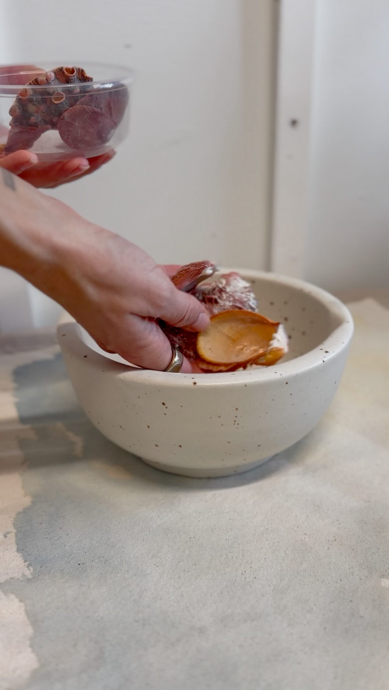 This color is swoon-worthy! Can someone please find more of these red shells and bring them to Arts Warehouse in Delray Beach? Thank you!