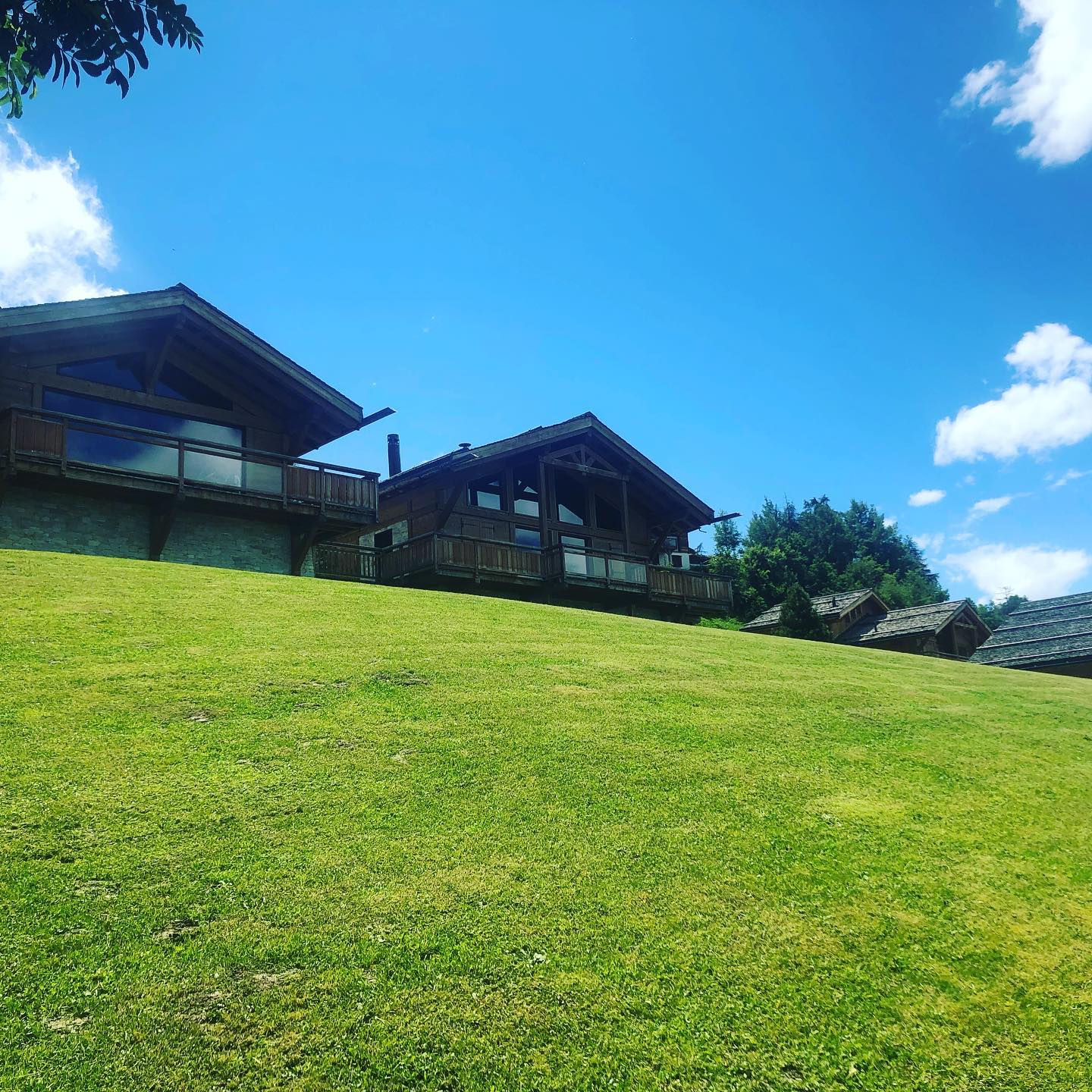 @fenetresurjardin entretien et paysagisme professionnels depuis 2009. Contactez-nous avant de transformer votre jardin.
-
@fenetresurjardin professional maintenance and landscaping since 2009. Contact us to transform your garden.
-
#landscaping #gardenmaintenance #nendaz #nendazswitzerland #nendaz4vallees #latzoumaz #latzoumaz4vallées #veysonnaz #veysonnaz4vallées #sion #sionmaville #landscapedesign #garden #jardin #jardinage