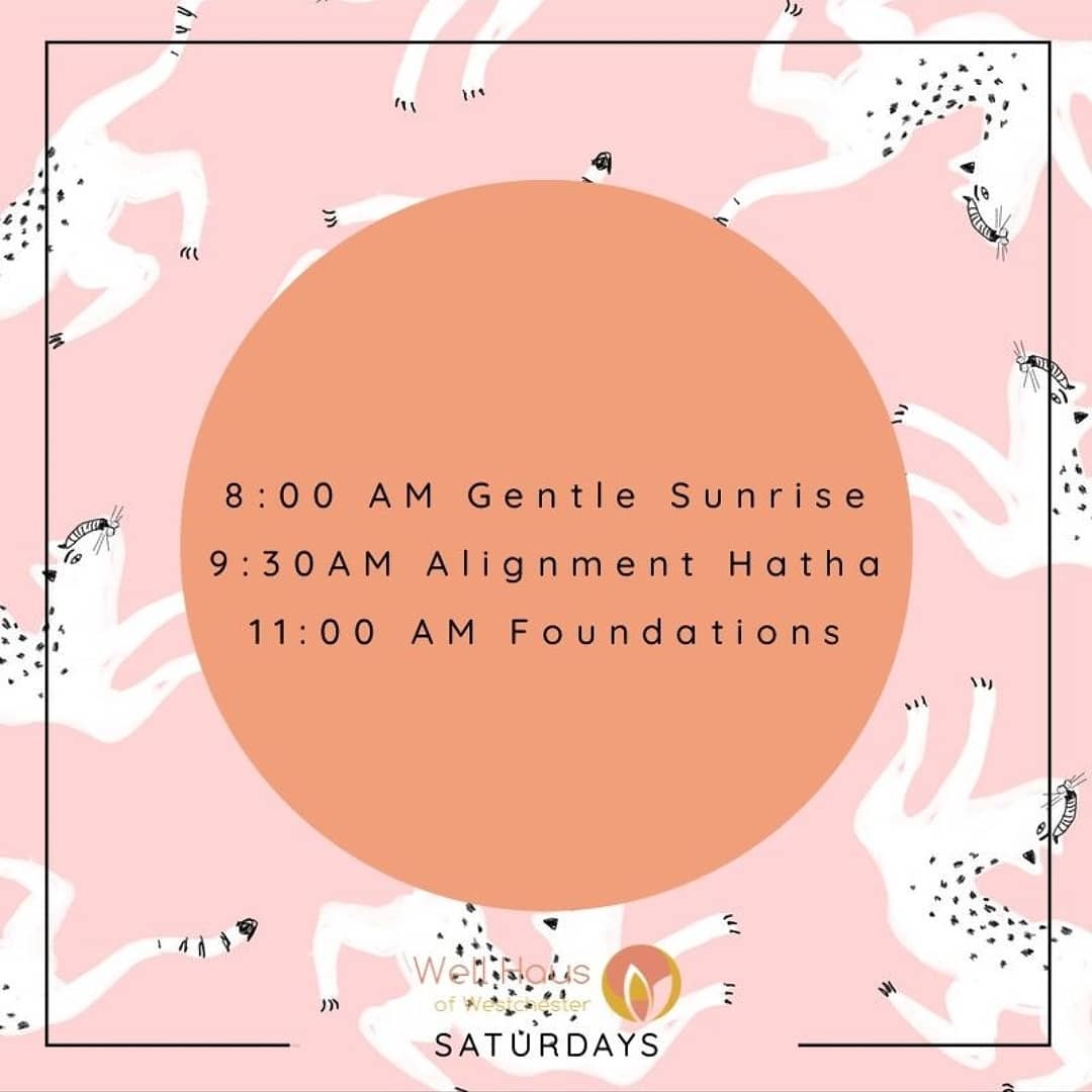 Classes today are followed by our sound bath🌌🌌🌌🌌🤗🤗🤗🤗🎀🎀🎀
#wellness #westchesterwellness #noegonovember #newrochelle #westchester #pelhamny #villageofpelham #yogachallenge #bootcamp #yoga #wellness #noegonovember #newrochelle #westchester #pelhamny #villageofpelham #yogachallenge #bootcamp #yoga #soundbath