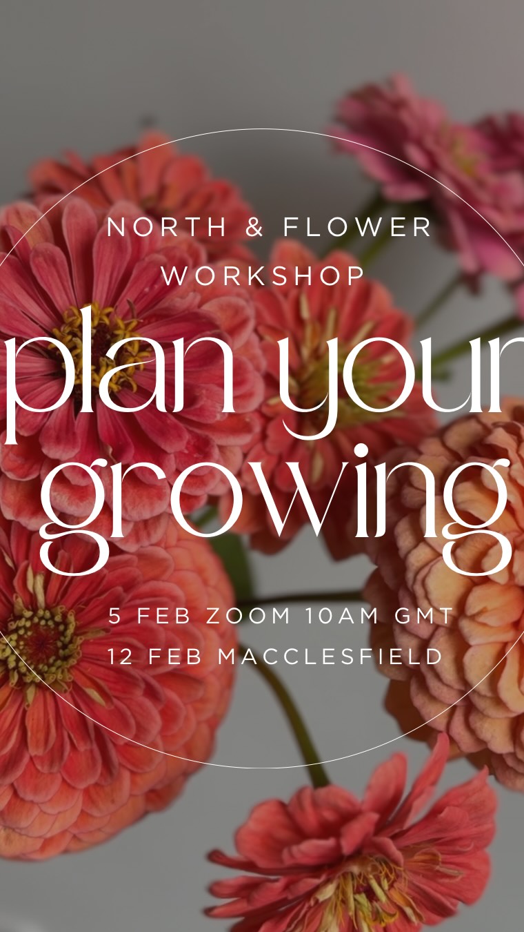 Last few places for this Thursdays workshop.
Join me to plan your growing and set yourself up for the season ahead. A 2 hour workshop where you’ve get the inside scoop on our flower farm production.
Ever wanted an inside look at how someone else manages their growing or new to flower farming? This workshop will talk you through how we plan our crops, maximise our space and optimise production.
5th February 10:00 GMT zoom
12 February 10:00 GMT in person Macclesfield
£35 (Usually £50)
Find out more and book through the website. Link in bio.
#flowersfromthefarm #flowerfarmer #ecofriendlyflowers