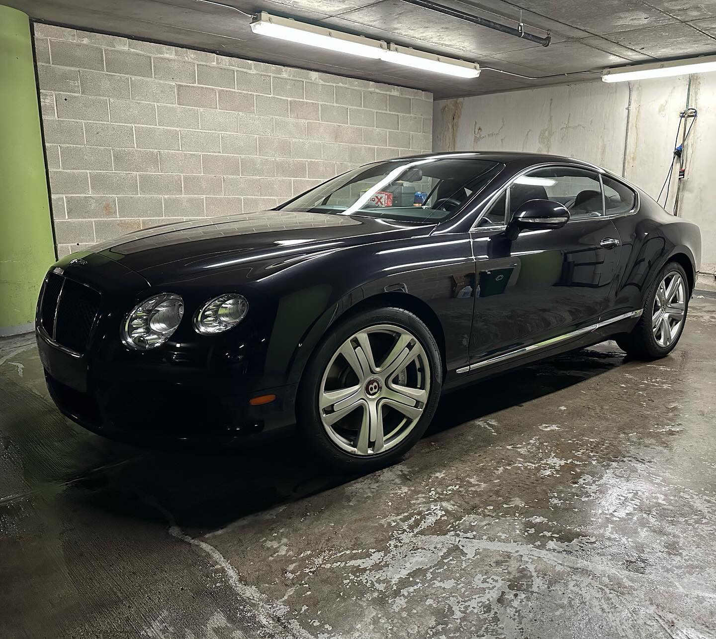 Last minute detail for our VIP customers #bentley 🧼
Visit our website (link in bio) and book today!
.
.
#autodetail #autodetailer #autodetailing #clean #fresh #flawless #carculture #simplyclean #carlifestyle #dailydriven #luxurylifestyle #luxury #lux #interiordesign #exteriordesign #sanfrancisco #luxury #restoration #exteriordesign #restoration #detailing #carwash #bayarea #carcare #mobilecarwash #cargloss #carshine #auto #bayarea