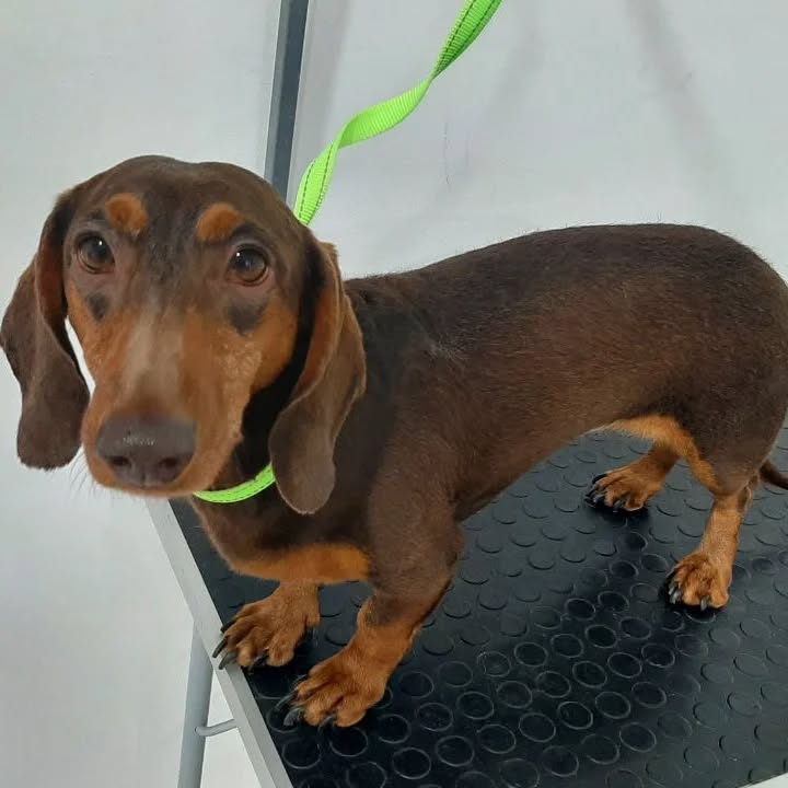 - Мені не сподобалось, все закінчилось занадто швидко!
Саме такі відгуки ми отримали в оч