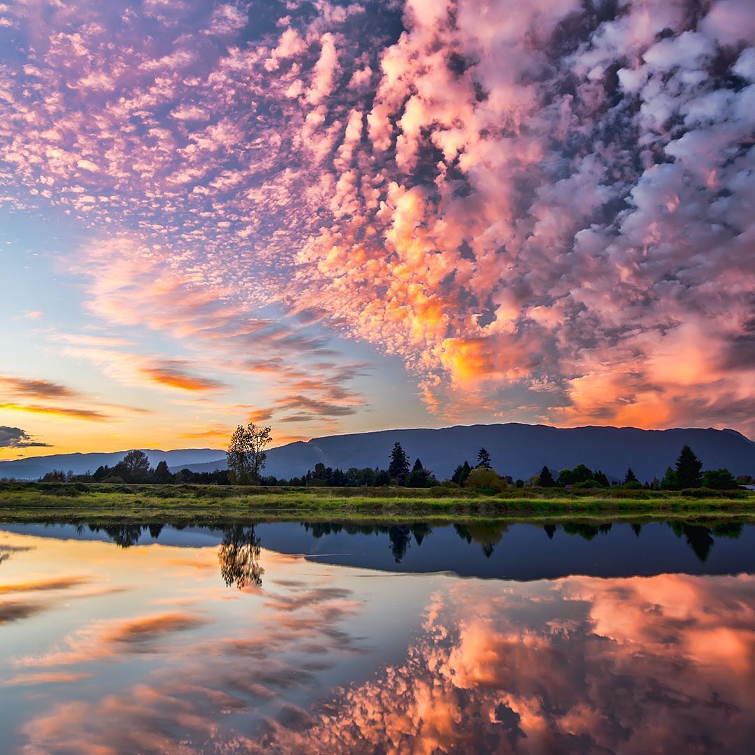 "More than 100 studies have shown that being in nature, living near nature, or even viewing nature in paintings and videos can have positive impacts on our brains, bodies, feelings, thought processes, and social interactions. In particular, viewing nature seems to be inherently rewarding, producing a cascade of position emotions and calming our nervous systems. These in turn help us to cultivate greater openness, creativity, connection, generosity, and resilience." - www.yesmagazine.org
Photo by James Wheeler
One of the easiest ways to contribute to the natural world is to help plant trees by switching your web browser to @Ecosia to plant trees for free while you search the web. Ecosia.org is the ‘search engine that plants trees’ by donating 80% of their advertising revenue to effective tree planting projects around the world with a focus on biodiversity hotspots.
Subscribe to @_trees_are_awesome for more inspiring nature content and to connect with easy ways to plant trees around the world.
#treesareawesome #trilliontrees #reforestation #generationrestoration #natureforhealth #naturehealth #natureheals #naturehealsthesoul #naturetherapy #naturetherapyforsoul #naturemeditation #naturemeditations #naturetime #timeinnature #treesheal #foresthealing #foresthealth #natureforsoul #natureforhealth #healthyliving #healthylivingtips #healthylivingjourney #outdoorliving #outdoors #peaceofmind #peaceinnature #forestbathing #forestbathingtherapy #treesgivelife #naturelovers