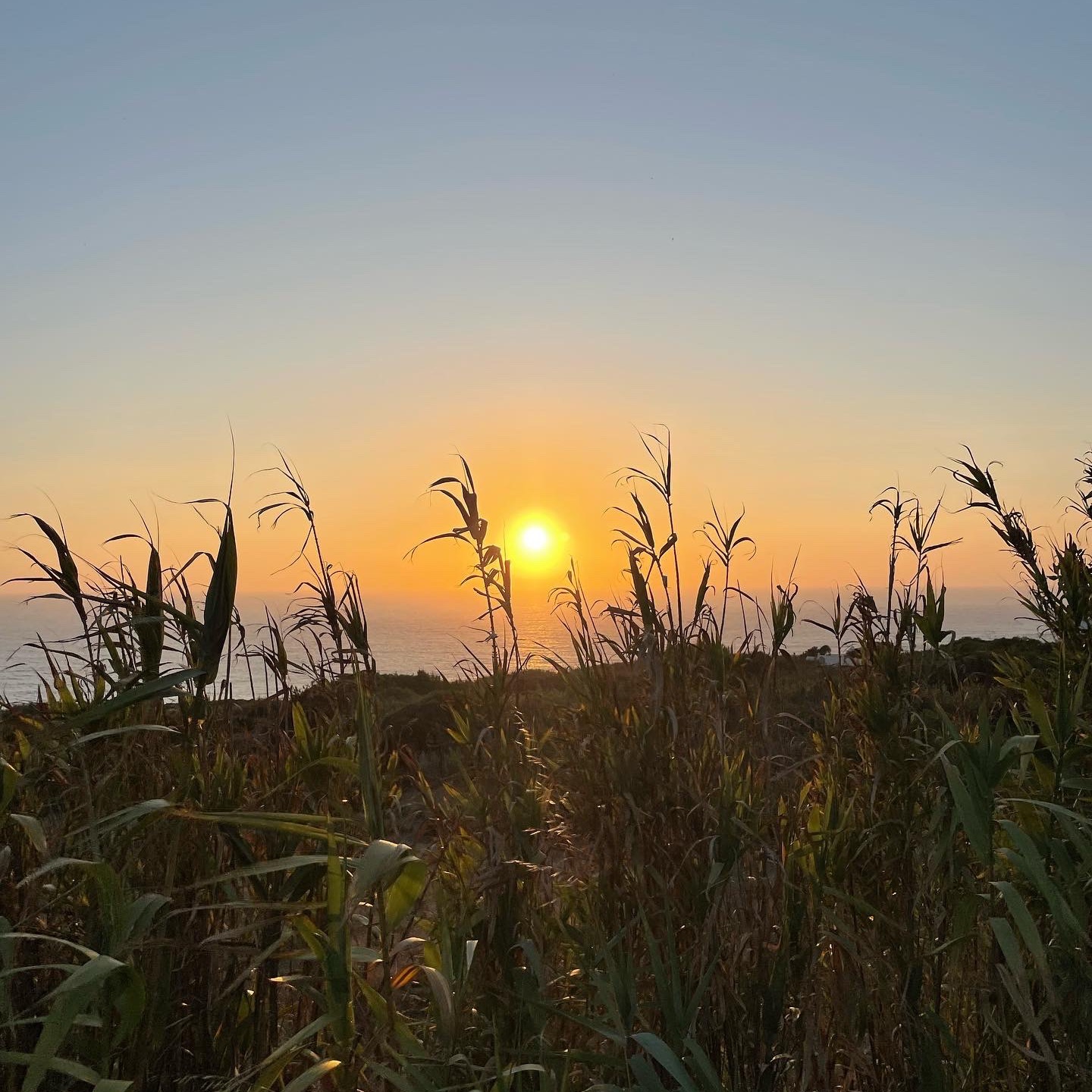 "be present and take up space“☀️
diese Worte haben mich heute inspiriert - was es für mich zu bedeuten hat?
Vielleicht heisst es, einen Raum mit seiner Energie zu füllen, ihn selbstbewusst zu betreten und für sich einzunehmen. Sich für das, was man ist und mag, nicht zu verstecken. Sich Raum zu nehmen für Eigenheiten, eine eigene Meinung, für Ecken und Kanten, für gesetzte Grenzen. Fürs Ausprobieren und alles, was man machen will, sich aber vielleicht nicht traut. Vielleicht heisst es auch, sich selbst als gleichwertigen Teil der Umgebung um sich herum zu fühlen ✨
Was ist dein Vielleicht?
#thinkabout #inspiring #thoughts #present #space #loveyourself #taketime